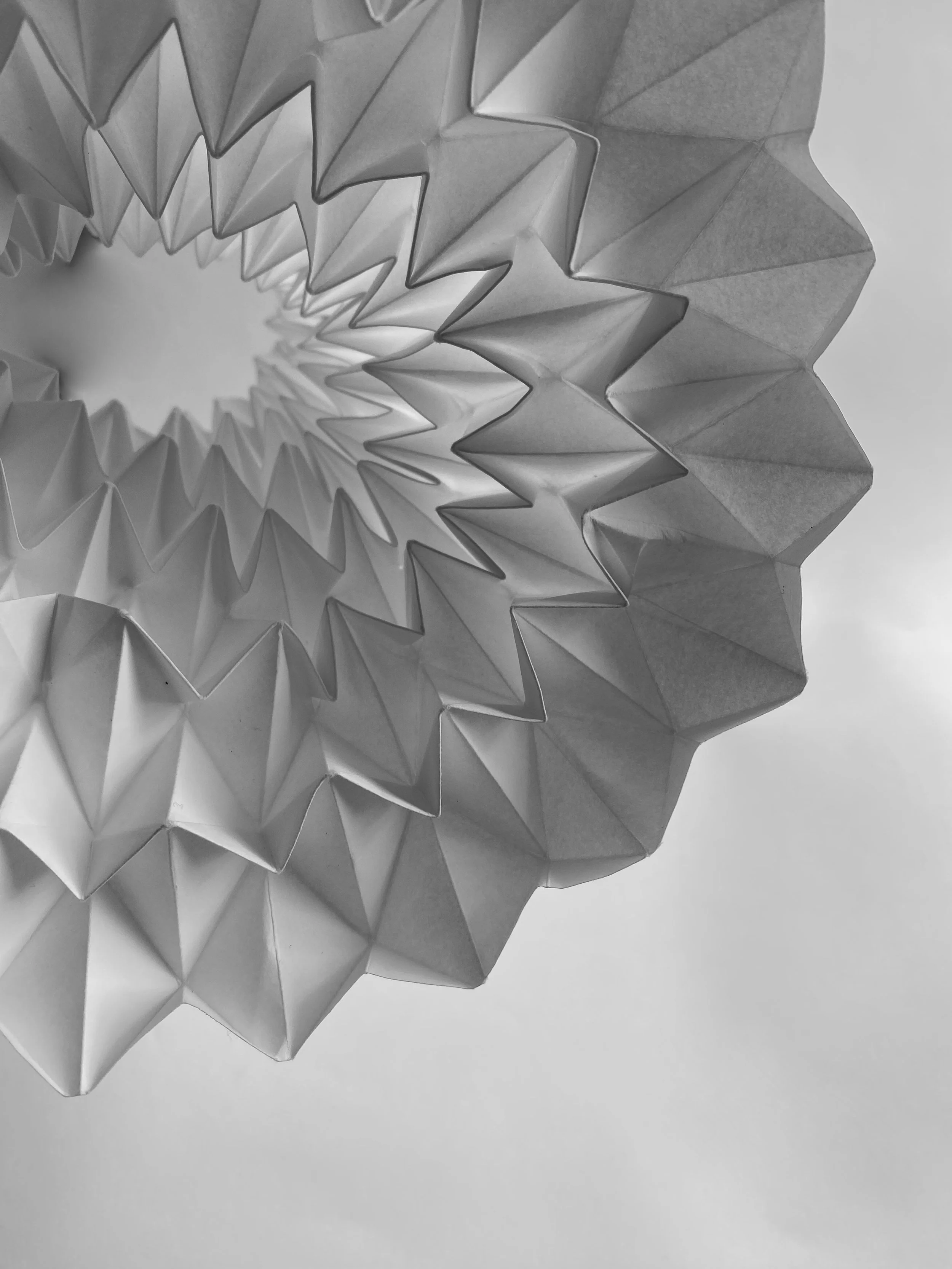 Paper Sculpture 1