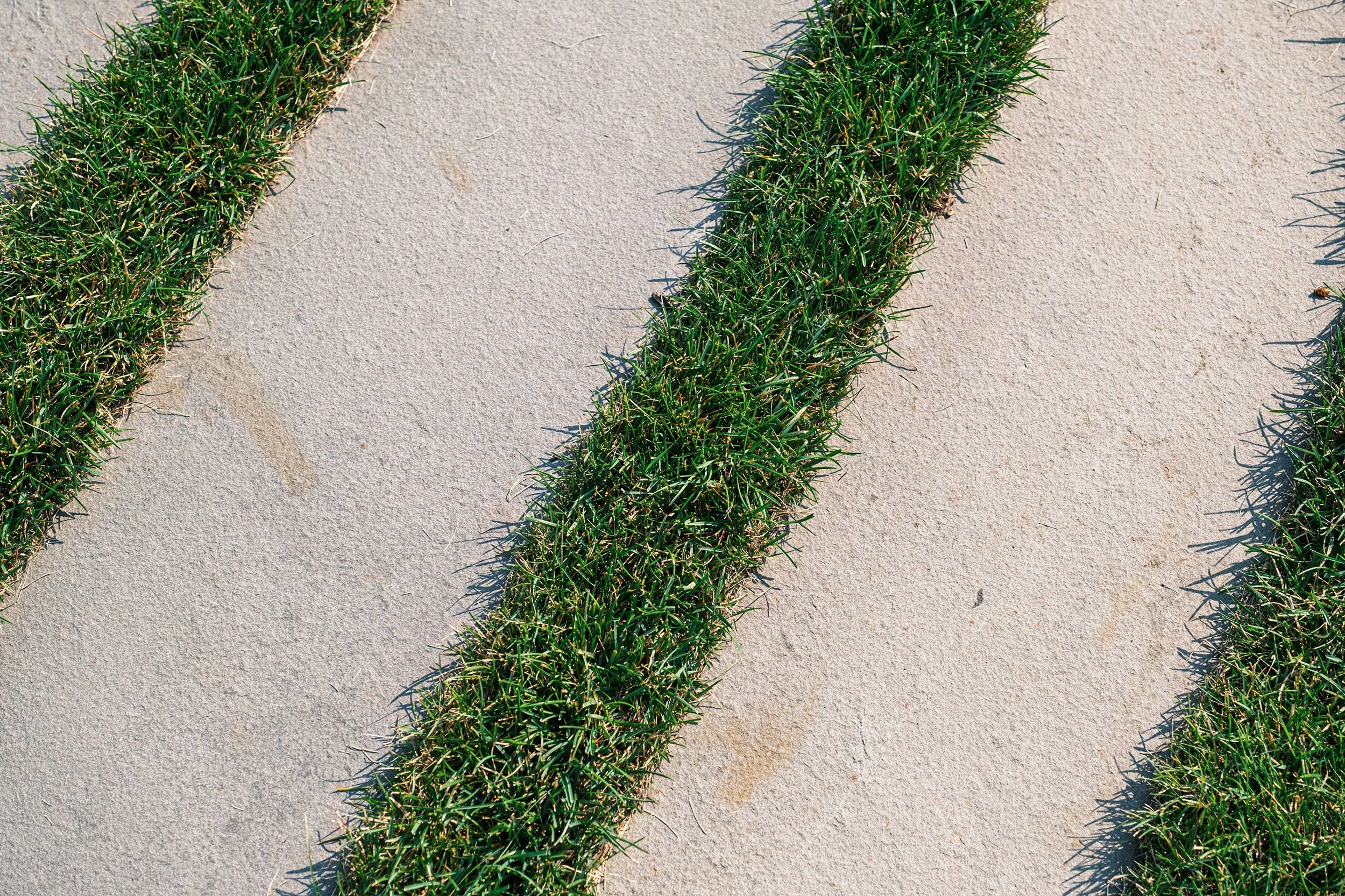 Close-up of green grass growing in a straight pattern against a light-colored stone surface.