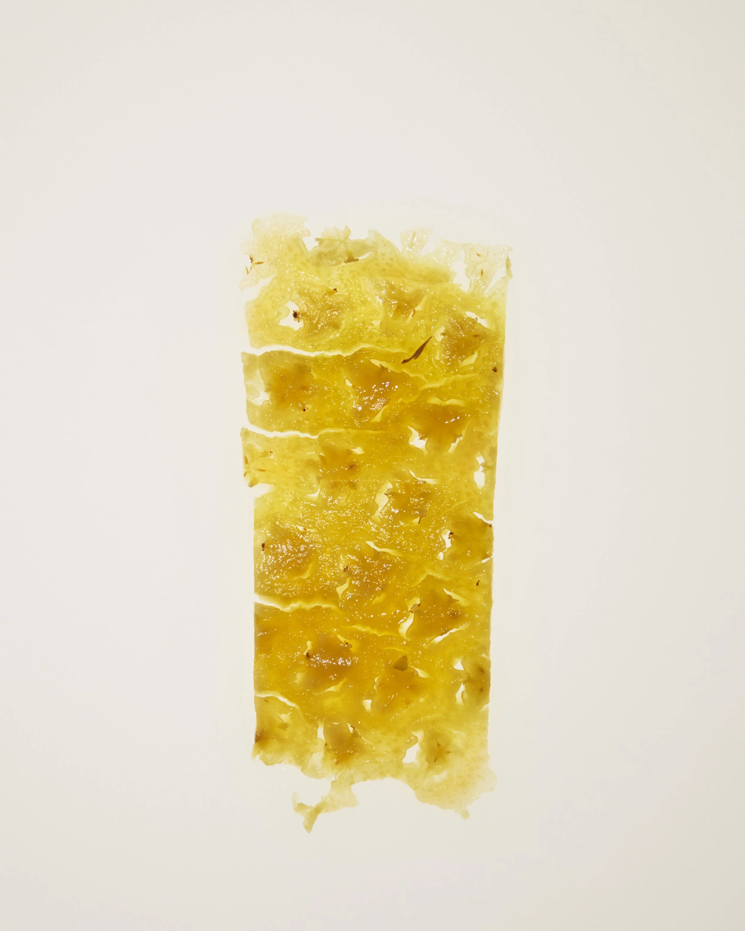 08_Pineapple_Fruit_632-FINAL.jpg
