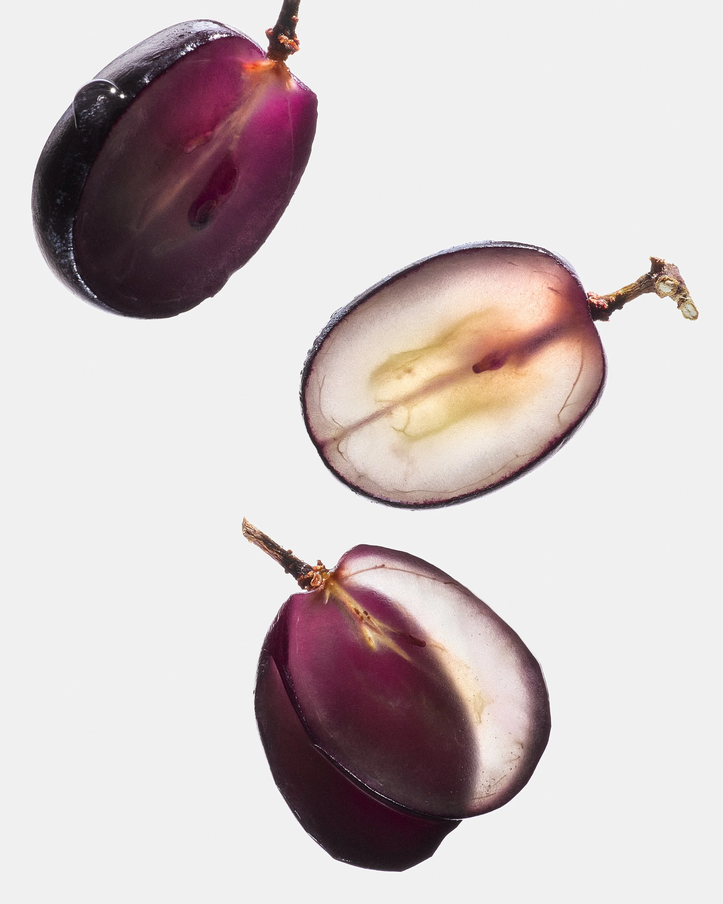 20250116_Armra_S12_FruitMacro_COMP_V2.jpg