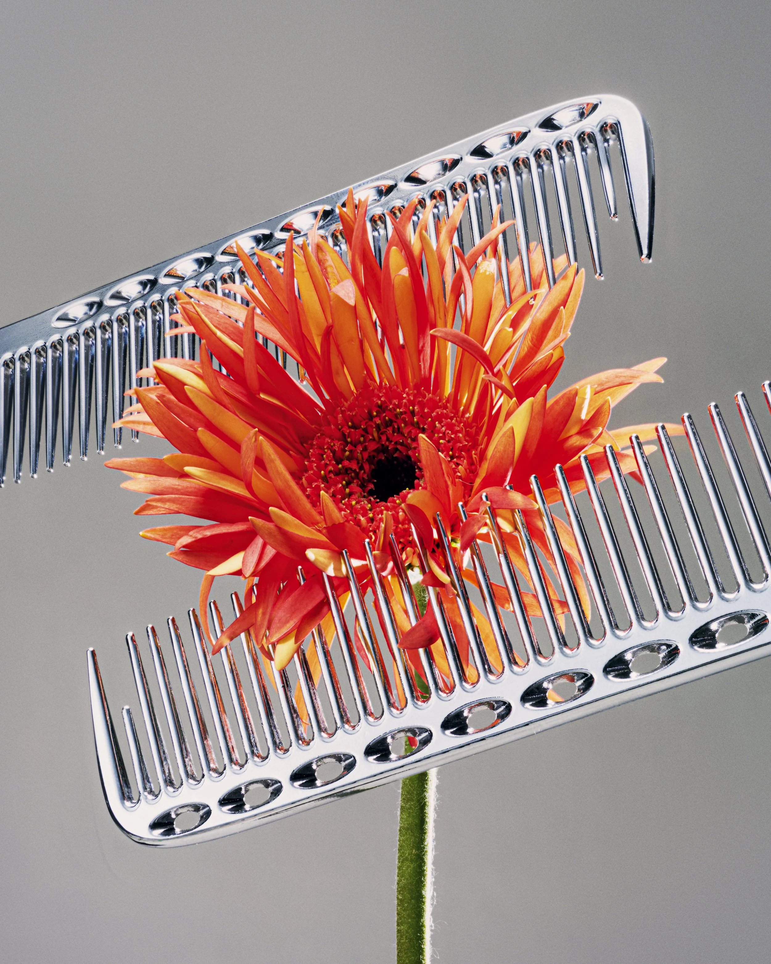 25-03 3118-05A ISH COMBS.jpg