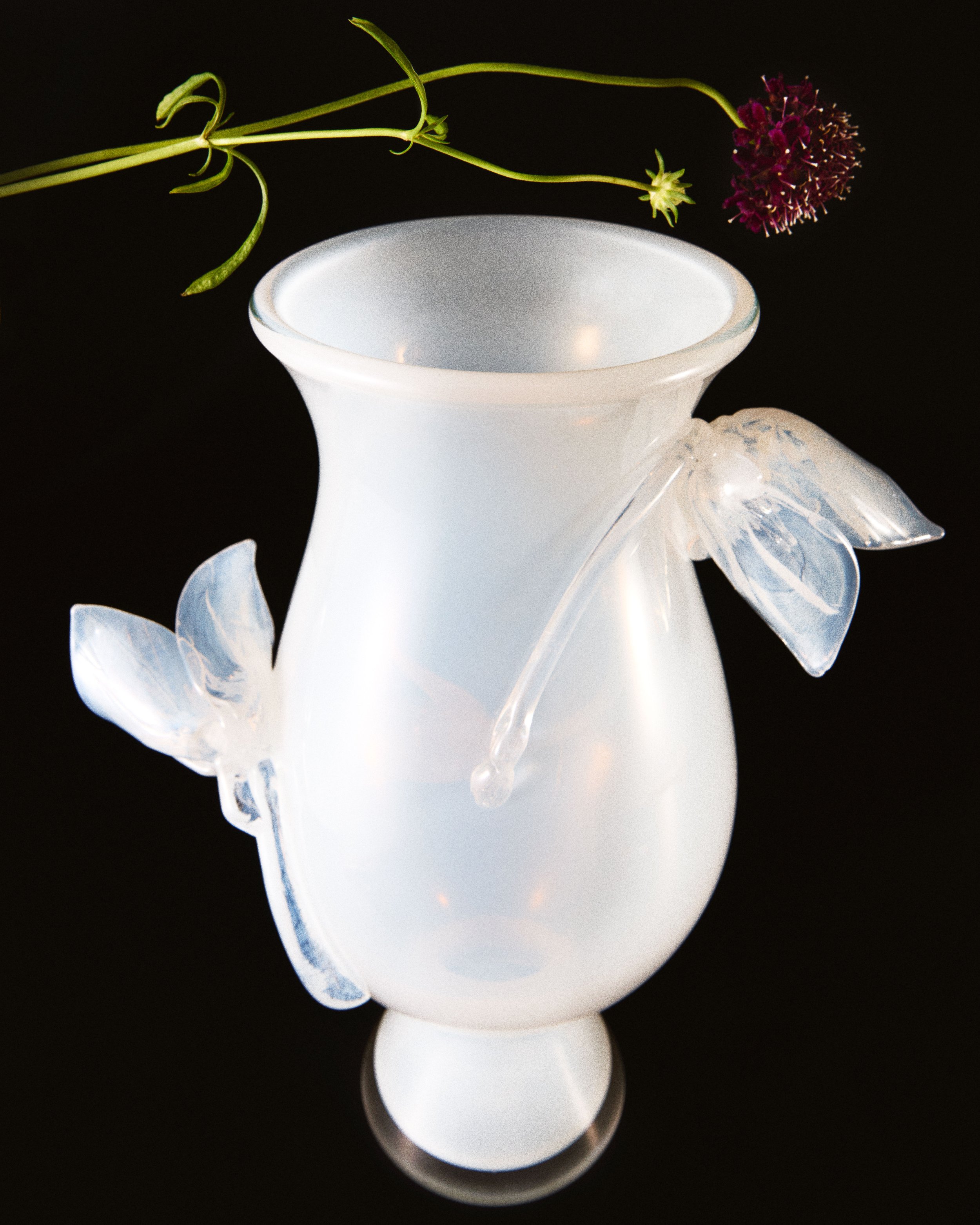 20240722_CCRAIG_ELLEDECOR_216-b.jpg