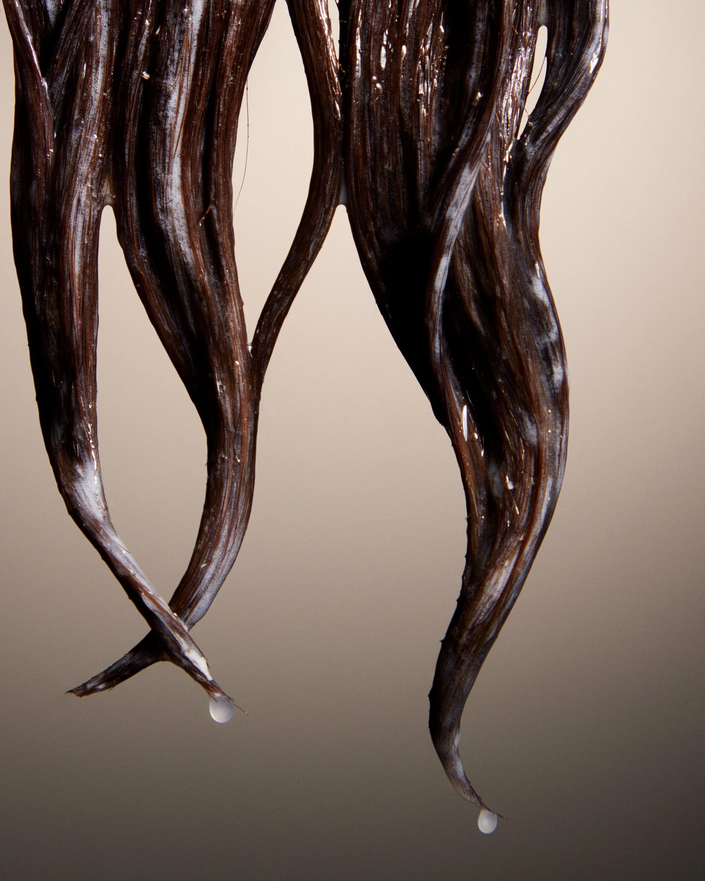 20240306_HAIR_145.jpg