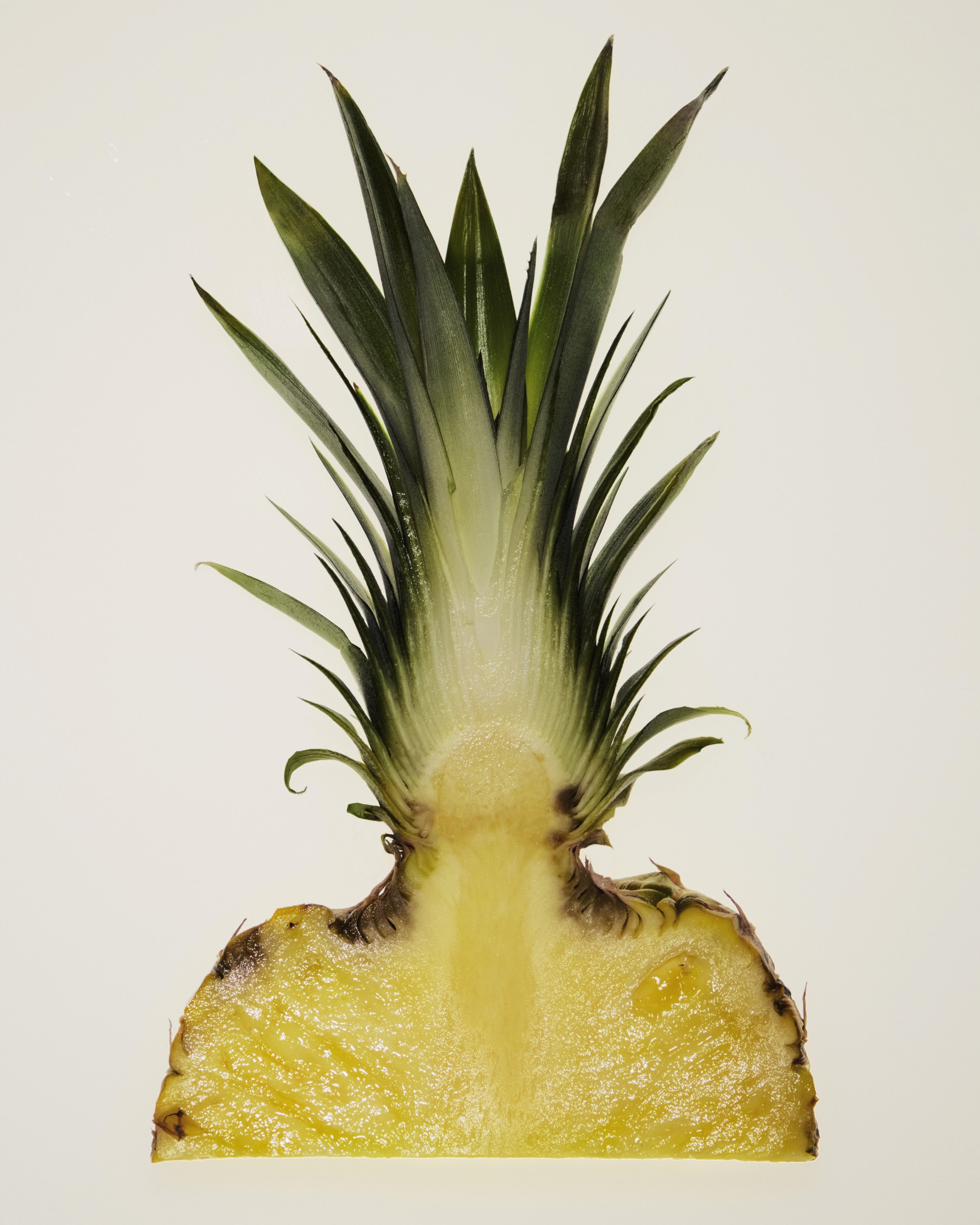 08_Pineapple_Fruit_630-FINAL.jpg
