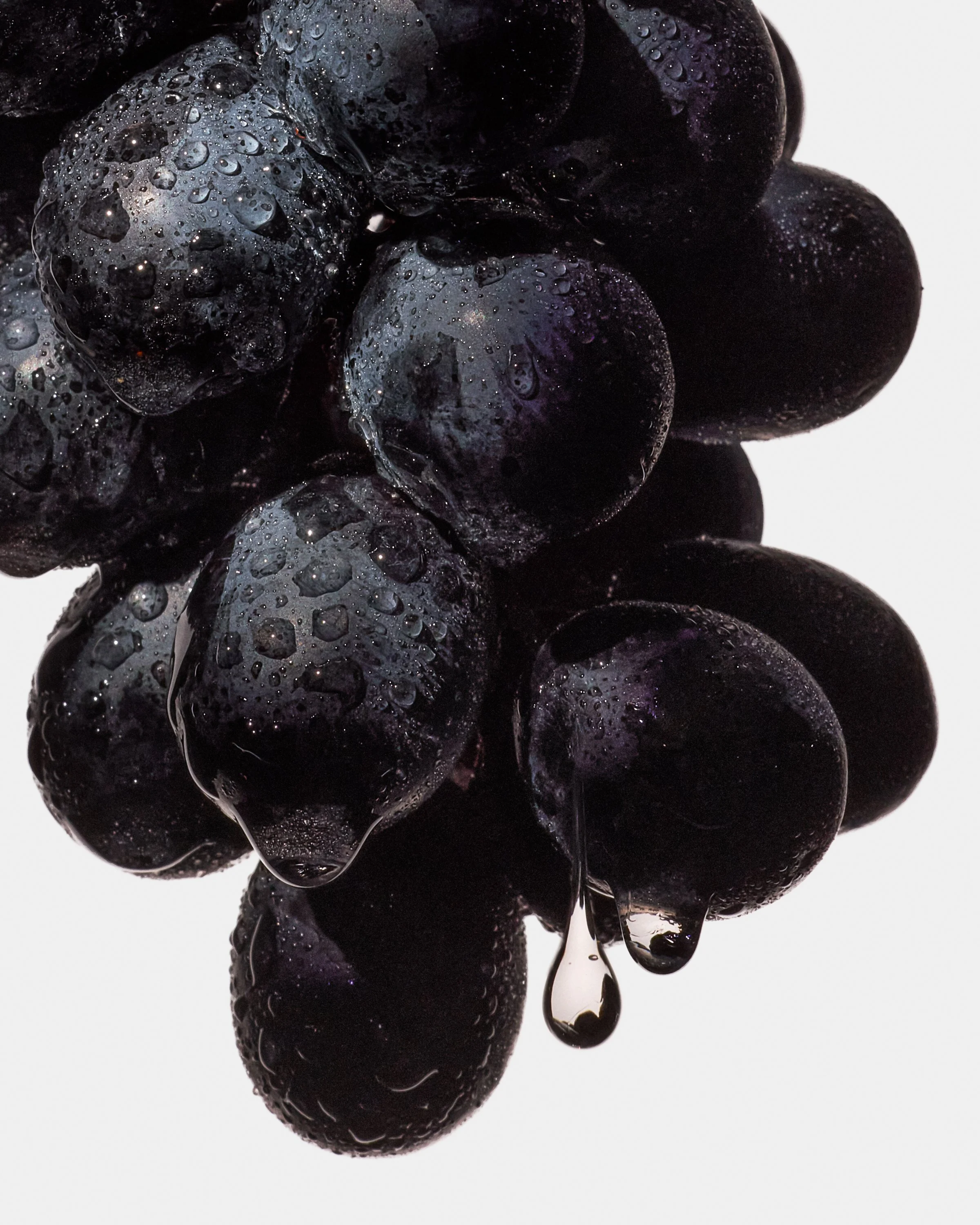 20250116_Armra_S12_FruitMacro_COMPc.jpg