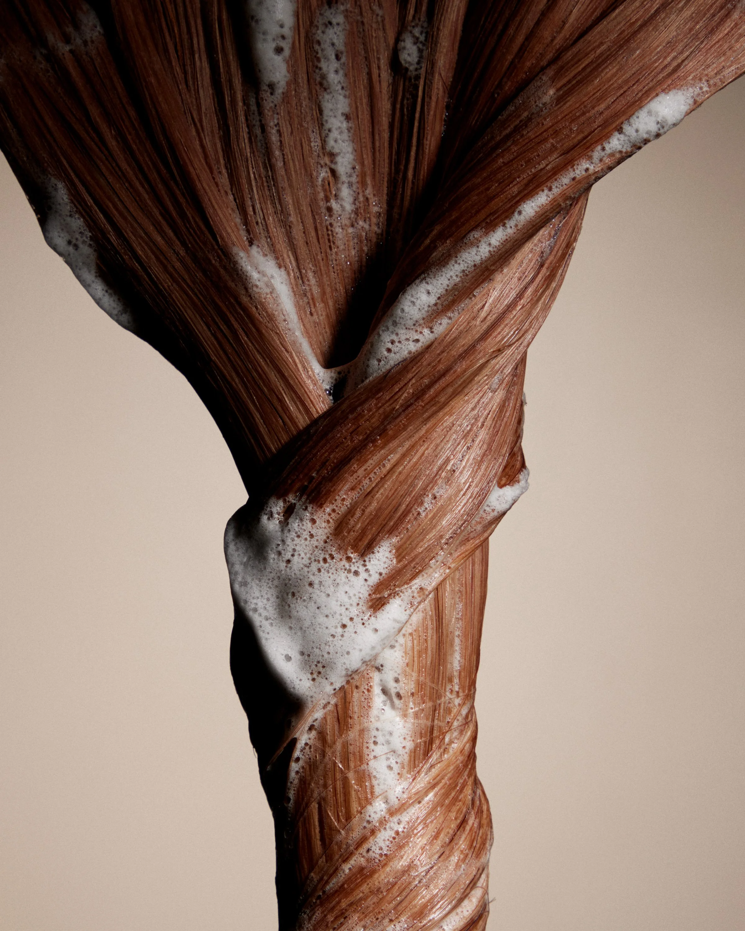20240306_HAIR_275.jpg