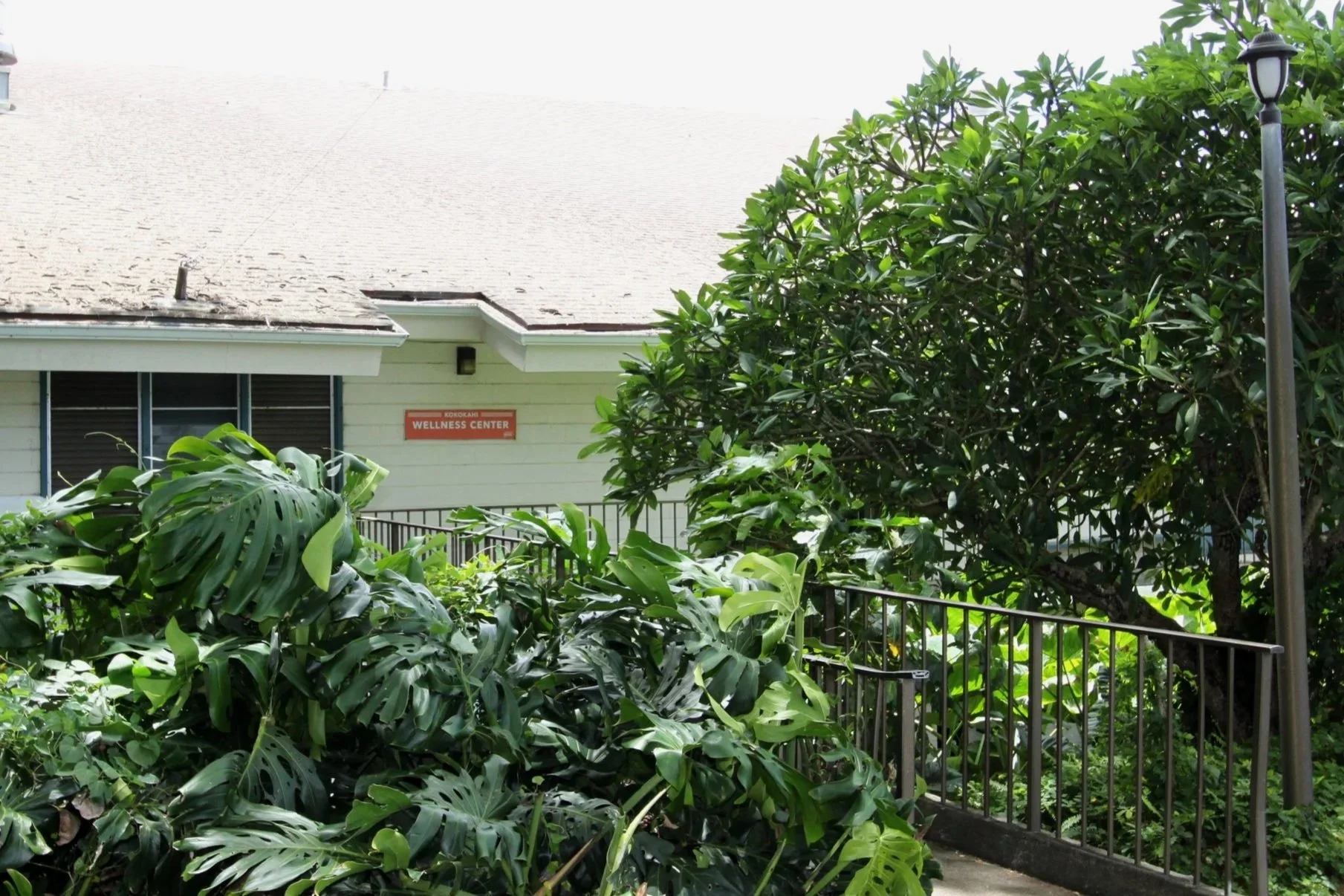 The entrance to the Kokokahi YWCA property in Kaneohe, where Fukuji & Lum's aquatic and W.O.R.C. clinics are located.