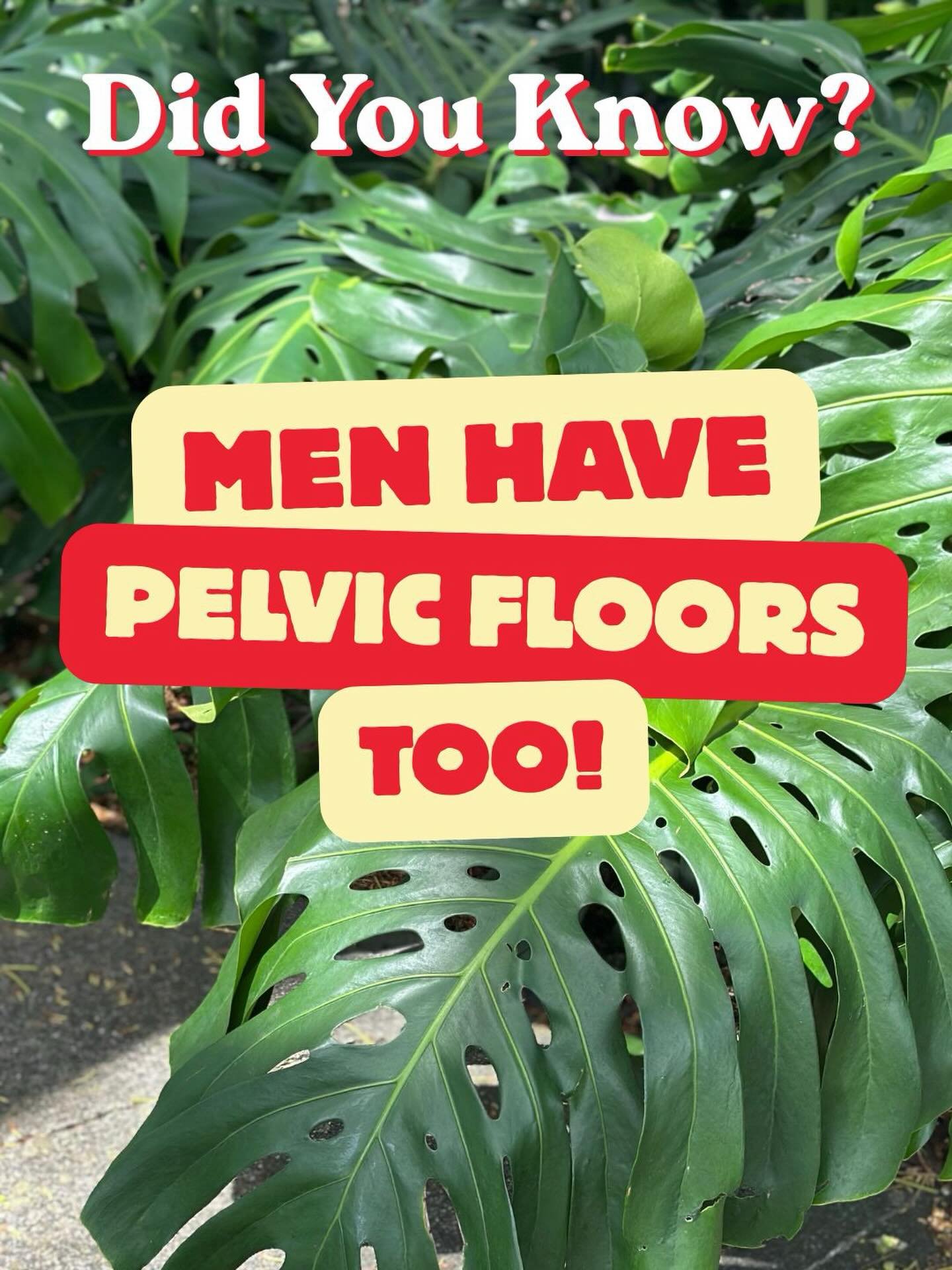 Guys, are you dealing with
 
✔️bladder or bowel issues
✔️pelvic pain
✔️core weakness
✔️recovering from prostate surgery
 
Pelvic floor physical therapy may help! 

This Men&rsquo;s Health Month, let&rsquo;s get you back to being you! 

📍Kailua and K
