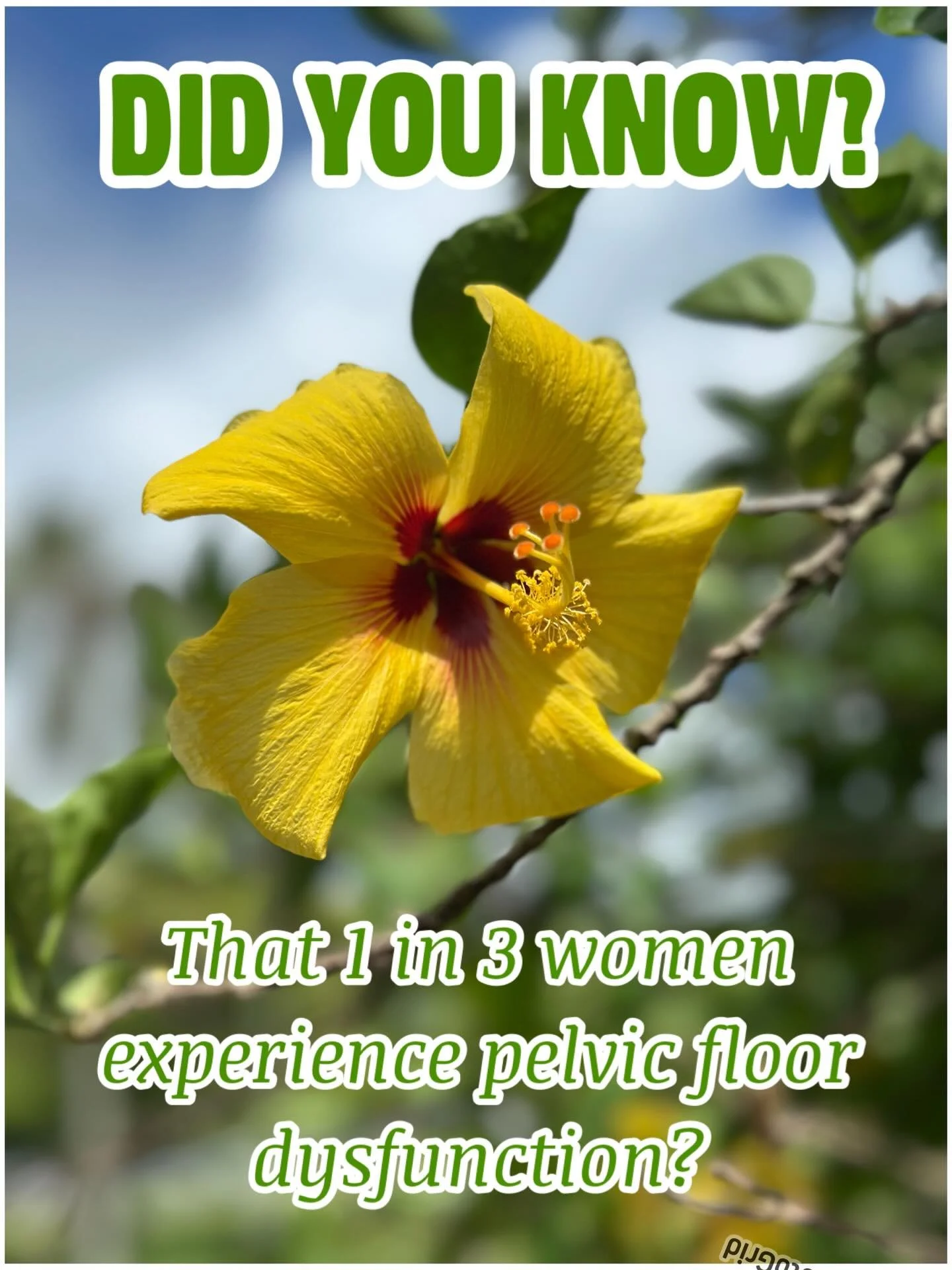 That is a staggering statistic, but here is the most important part: common does not mean normal. Too many women quietly live with symptoms for years, believing it&rsquo;s just a natural part of aging or motherhood.
At Fukuji &amp; Lum, we want to ch