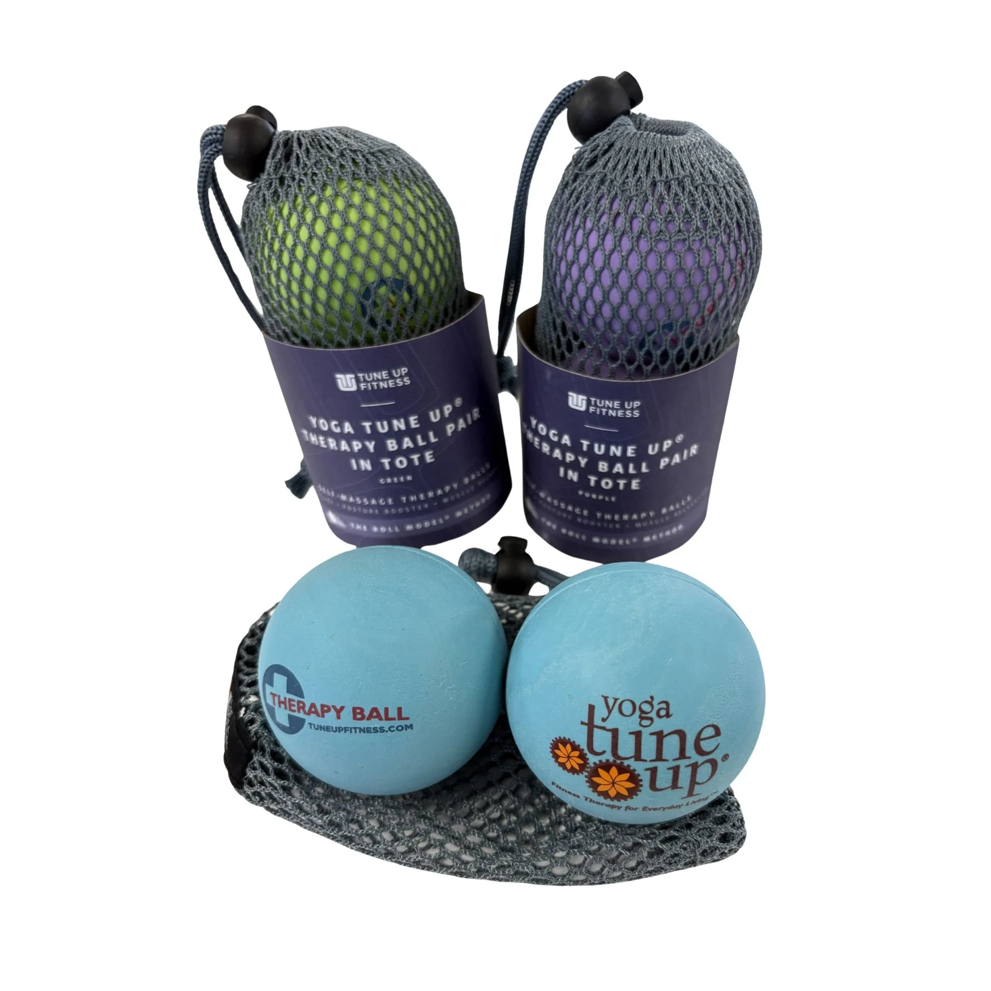Tune Up Fitness therapy ball pairs in totes with a mesh bag.