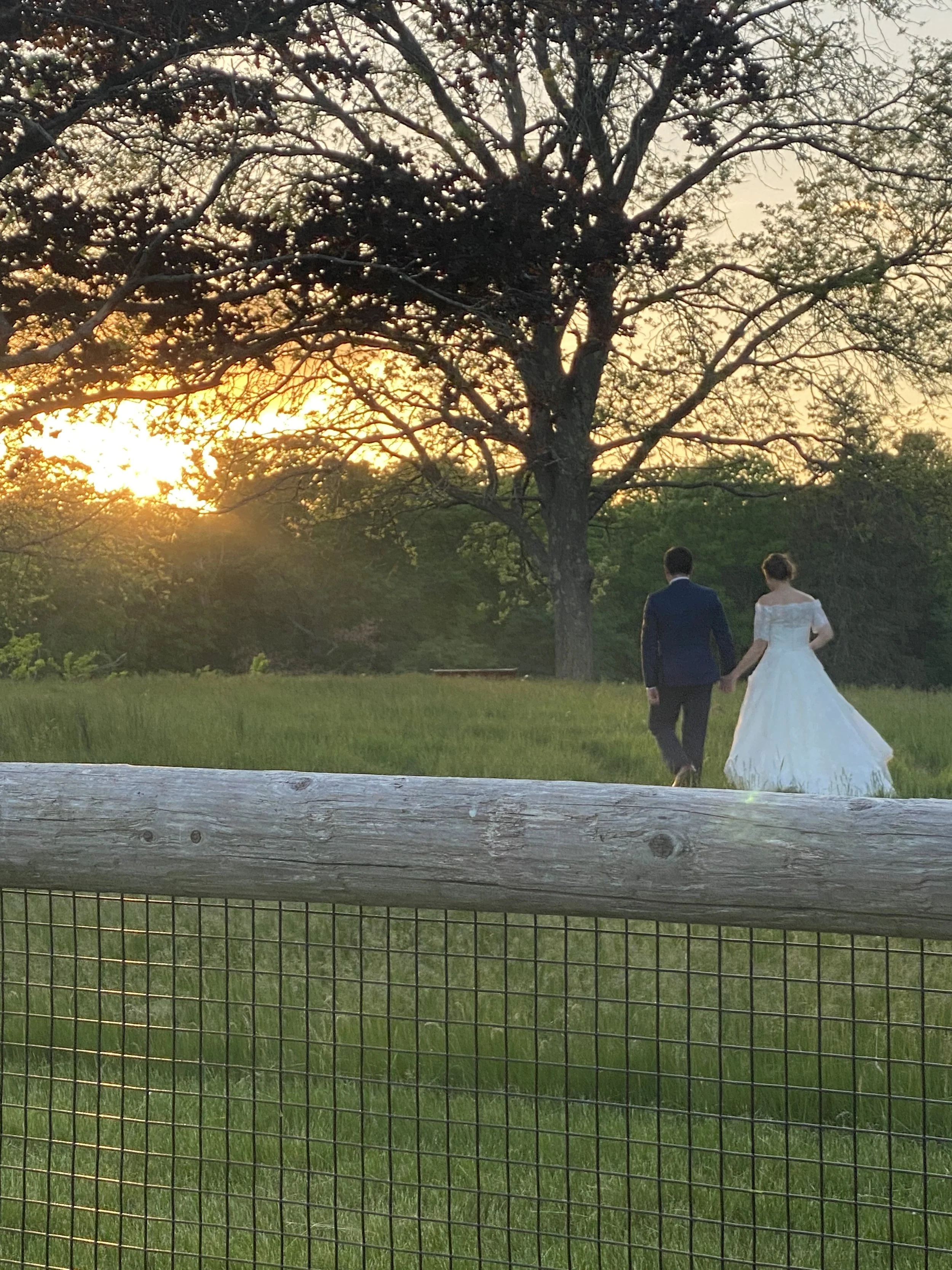 A man in a dark suit and a woman in a white wedding dress hold hands and walk away from the camera in a grassy area near a large tree during sunset, with a wooden fence in the foreground.