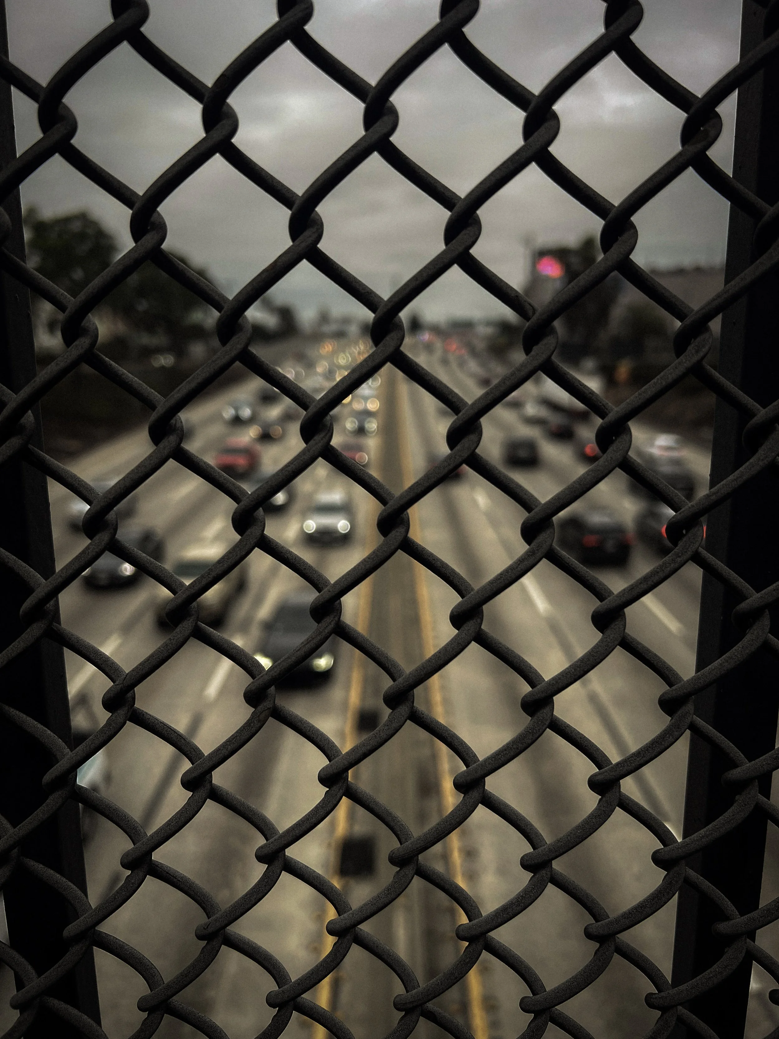 39-IMG_6499.jpg