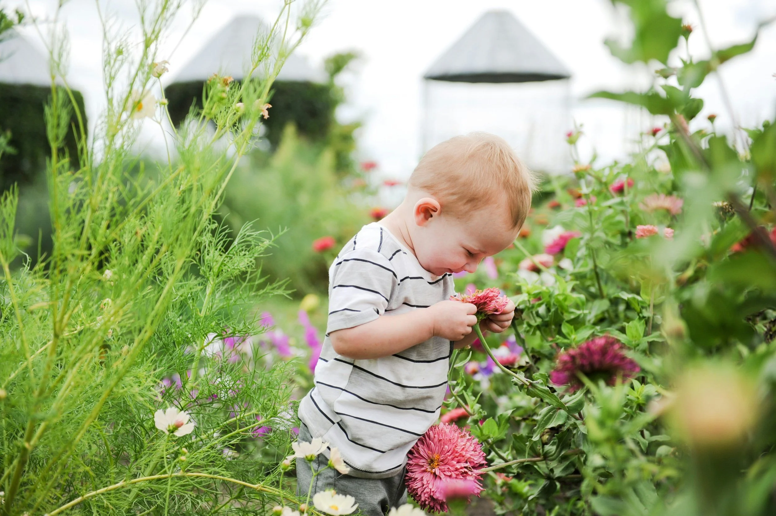 A young boy with red hair, wearing a striped shirt, is looking down and holding pink flowers in a lush greenhouse or garden filled with various colorful flowers and green plants.