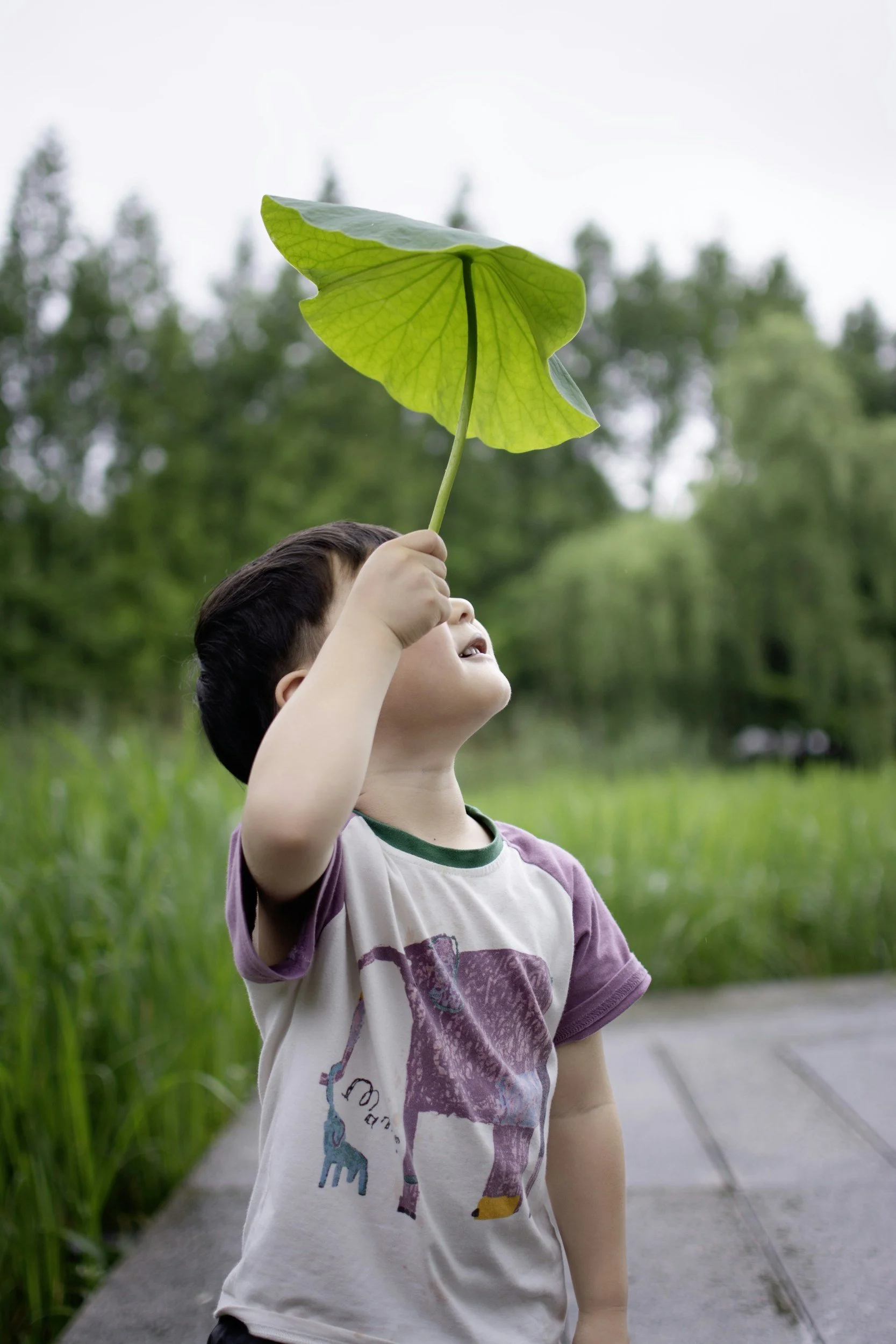 A young boy standing on a paved path holding a large green leaf above his head, with a blurred background of trees and grass.