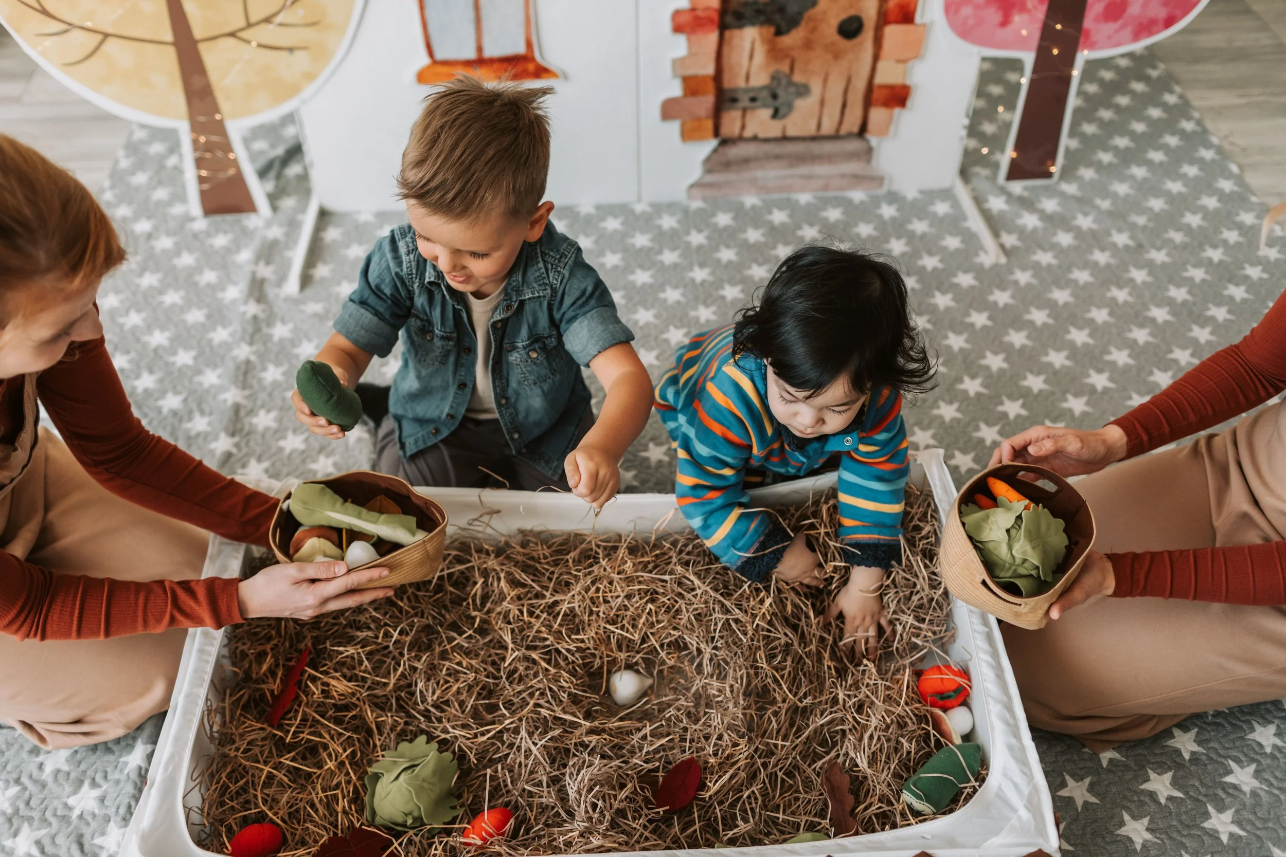 🌿 Sensory Explorers