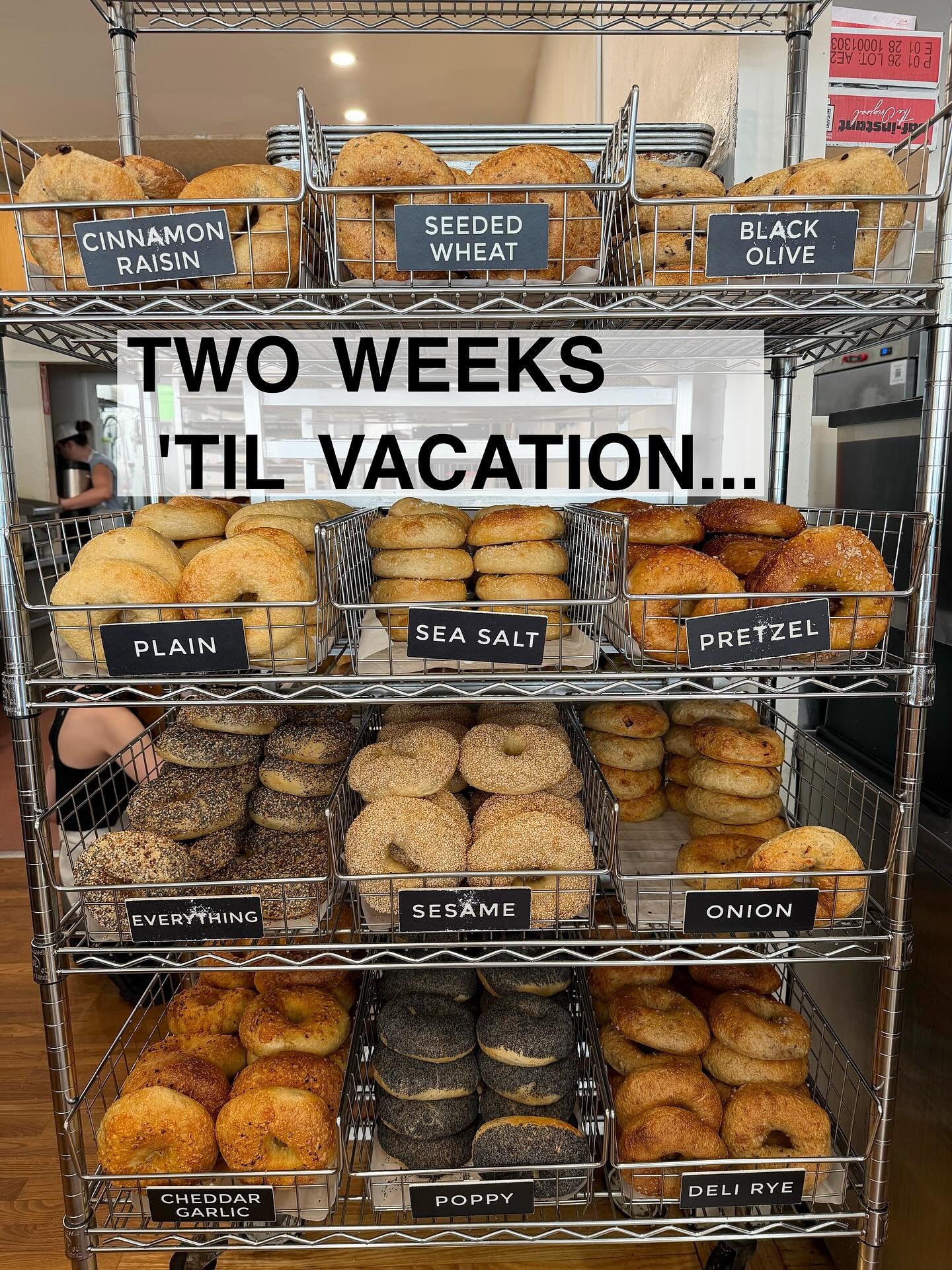 Our annual summer closure is on the horizon...
BAGELSAURUS WILL BE CLOSED MON AUGUST 17 - MON AUGUST 24. Come see us in the next two weeks and ask for a freezer bag!