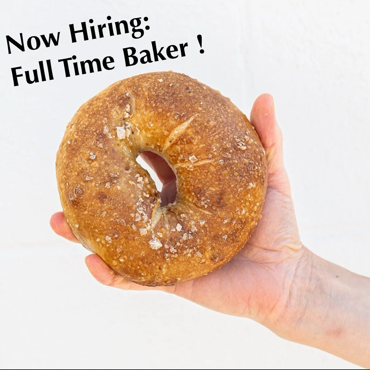 Now hiring a full time baker to join our small but mighty team! Learn mixing and shaping and boiling and baking and feeding a sourdough starter among other things. Apply via the 'jobs' tab on our website :)
Mornings and weekends required.