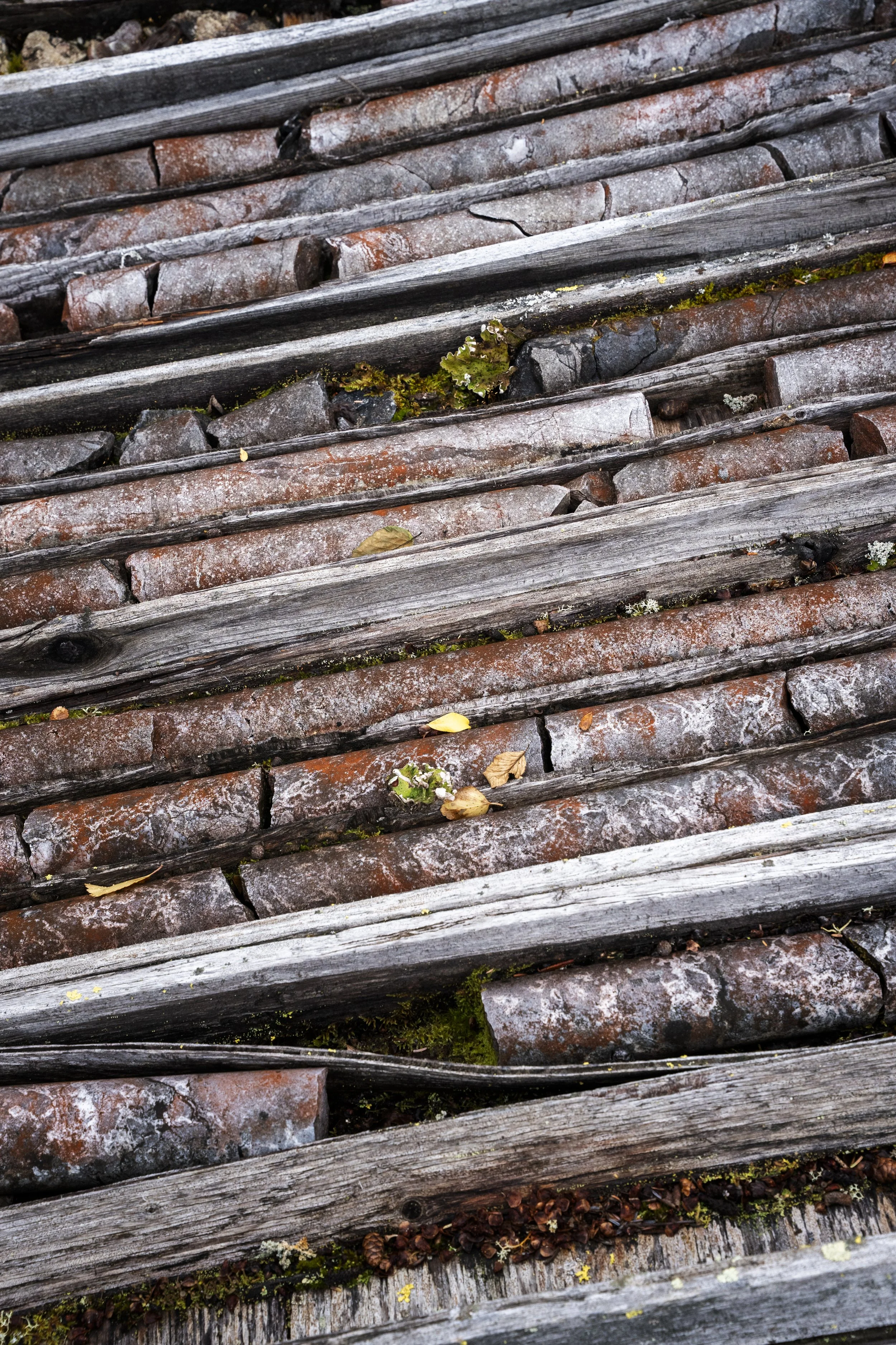 BS_Rusty_Springs_Fall_2025-138.jpg