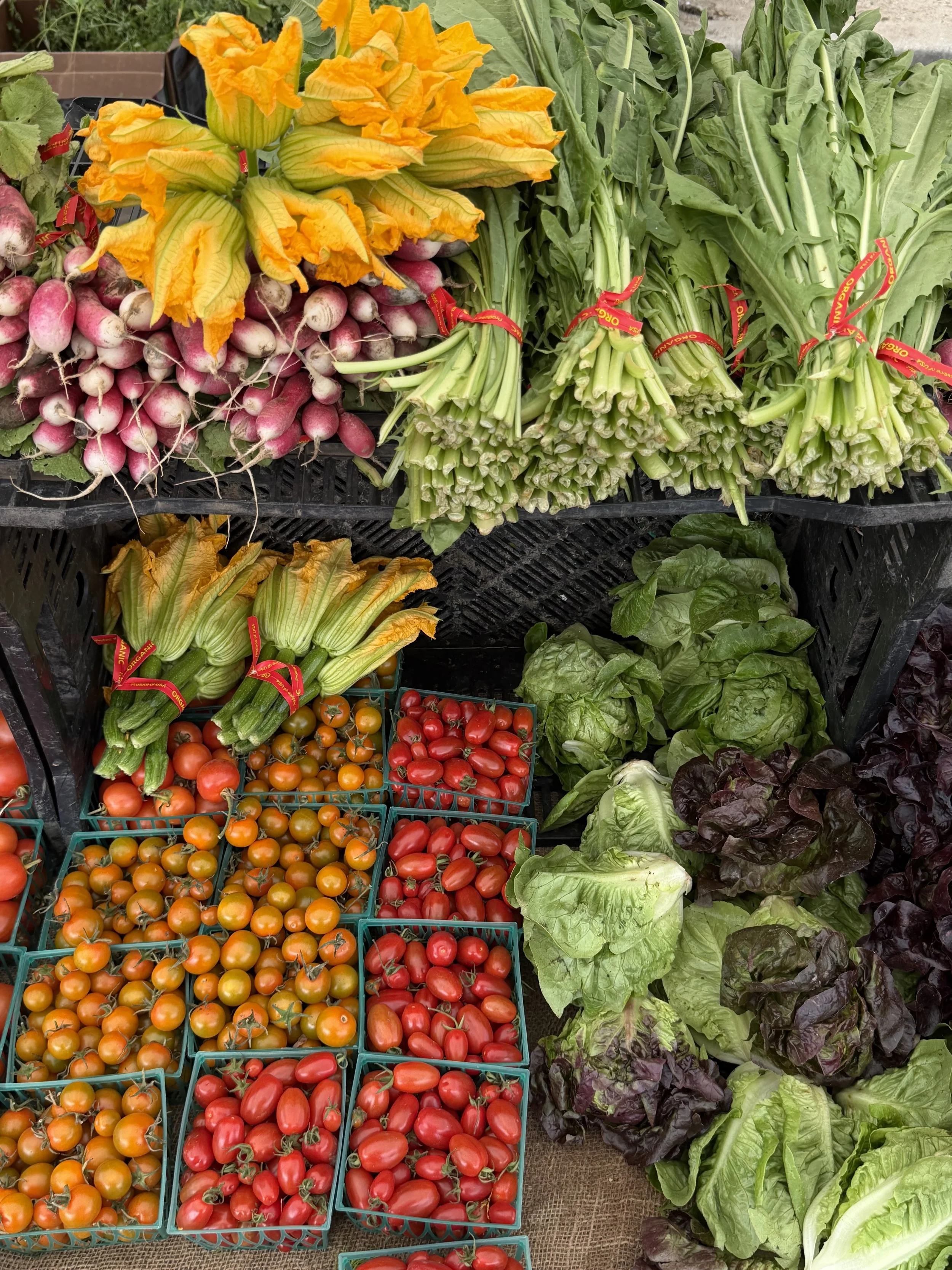 Display of fresh vegetables at a market, including cherry tomatoes, heirloom tomatoes, radishes, zucchini, lettuce, and radicchio, arranged in baskets and on shelves.