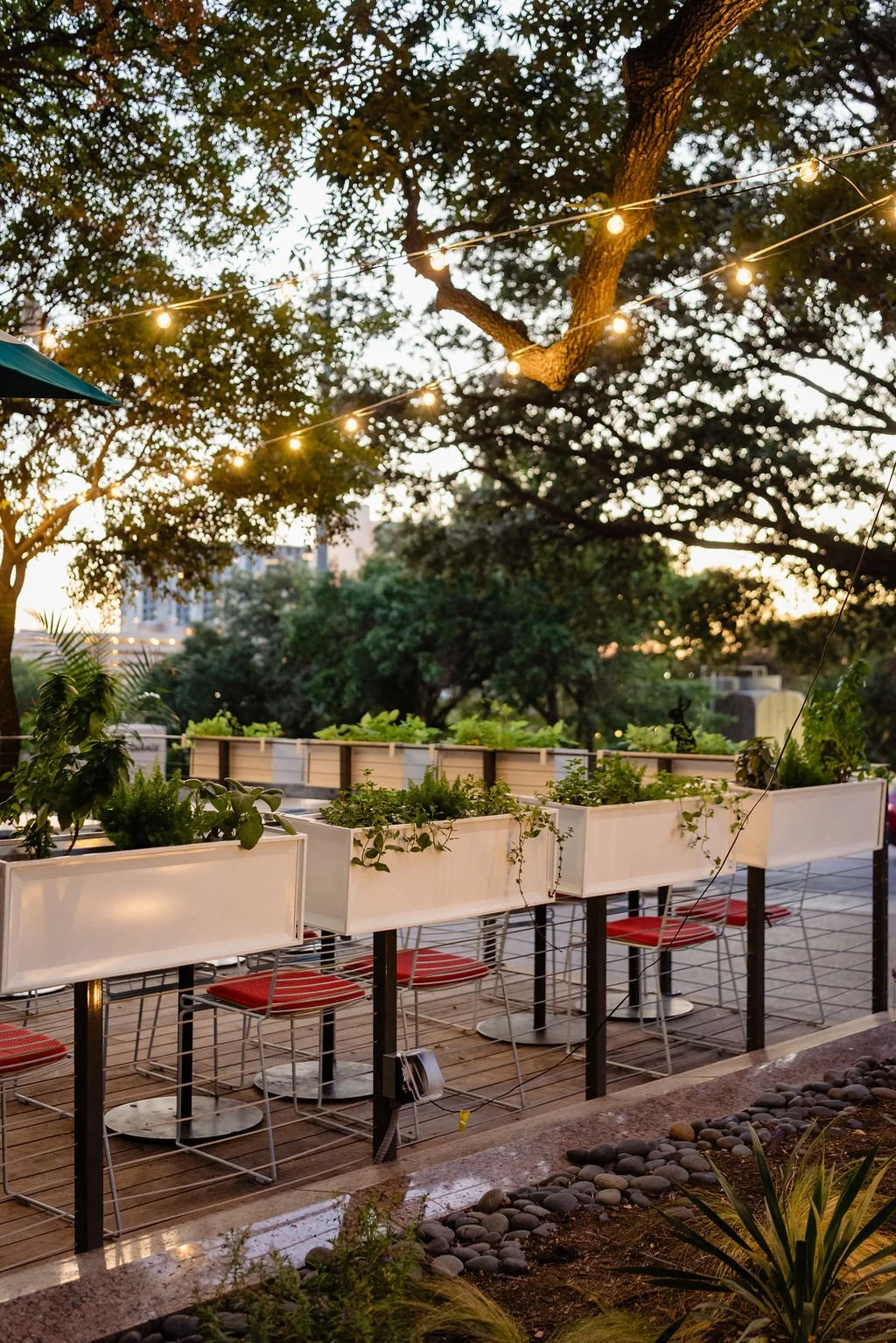  Potted plants on Austin restaurant patio 
