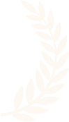 White laurel or olive branch on a transparent background