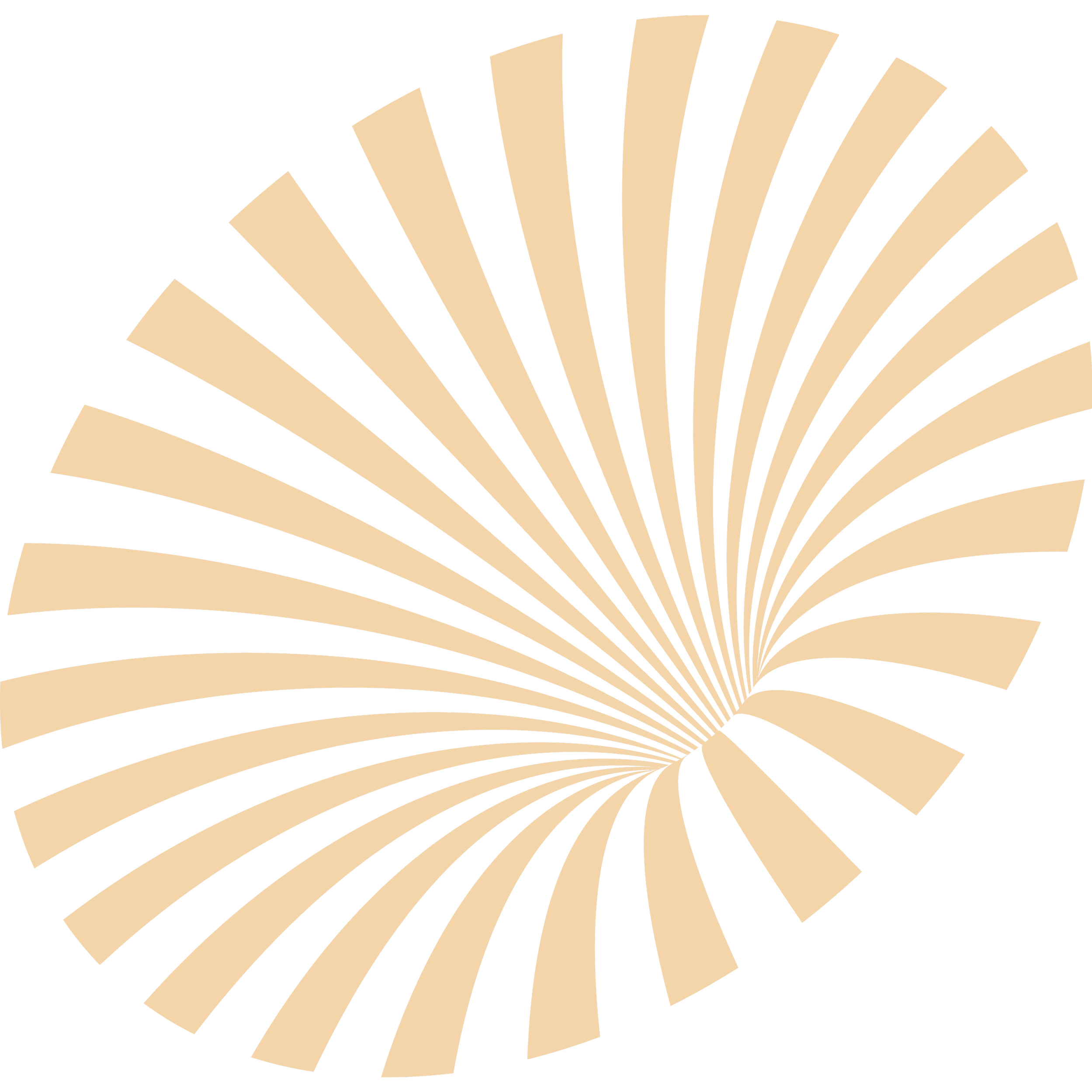 A spiral pattern with alternating black and beige segments radiating outward.
