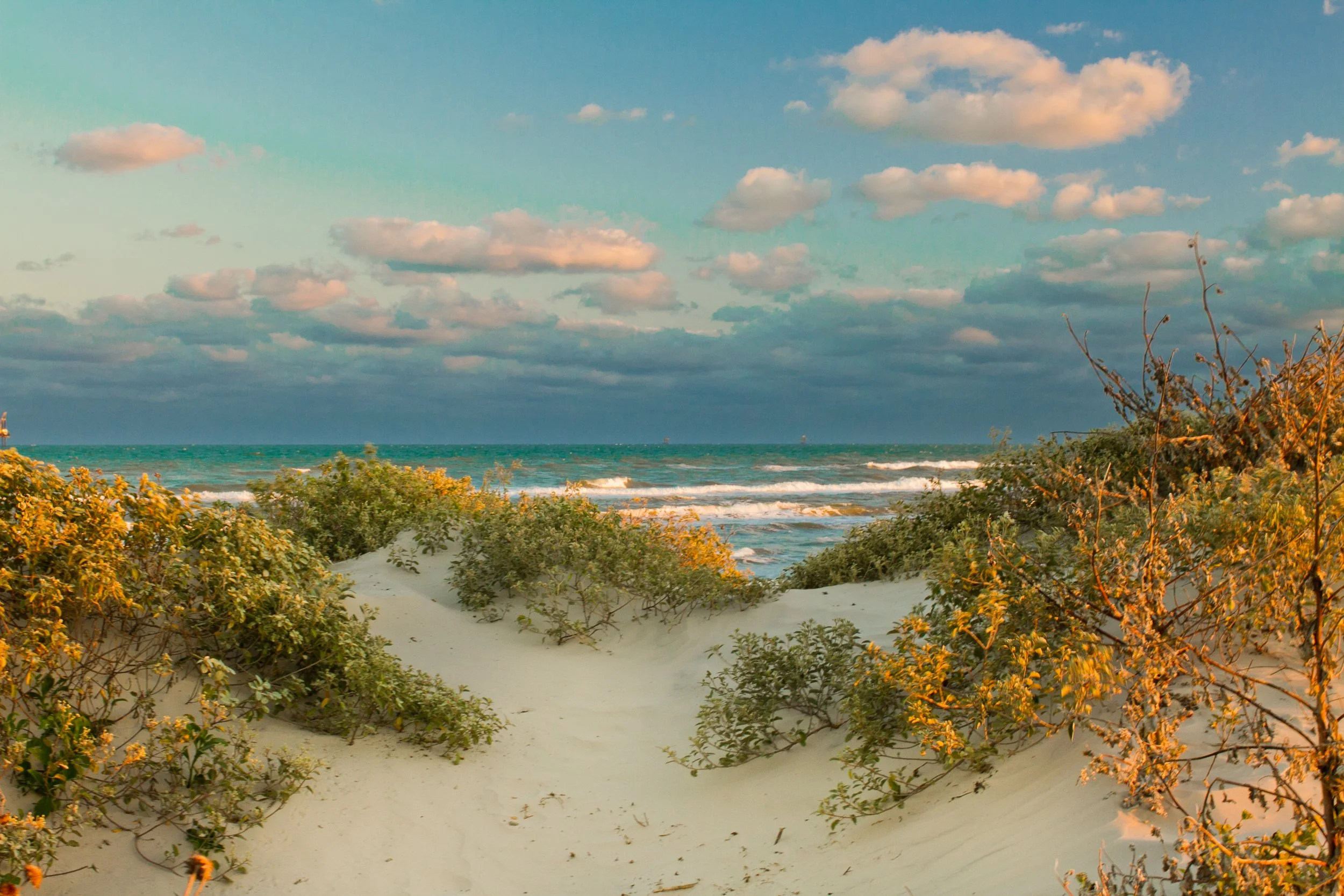 A sandy pathway leading to the beach with green bushes on both sides, overlooking the ocean with waves and a partly cloudy sky.