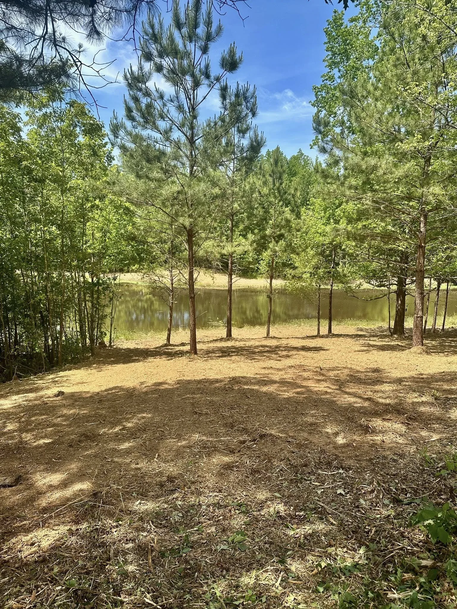 pond job 2 after.jpg