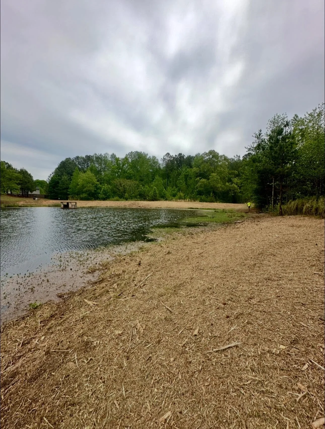 pond after vertical.jpg