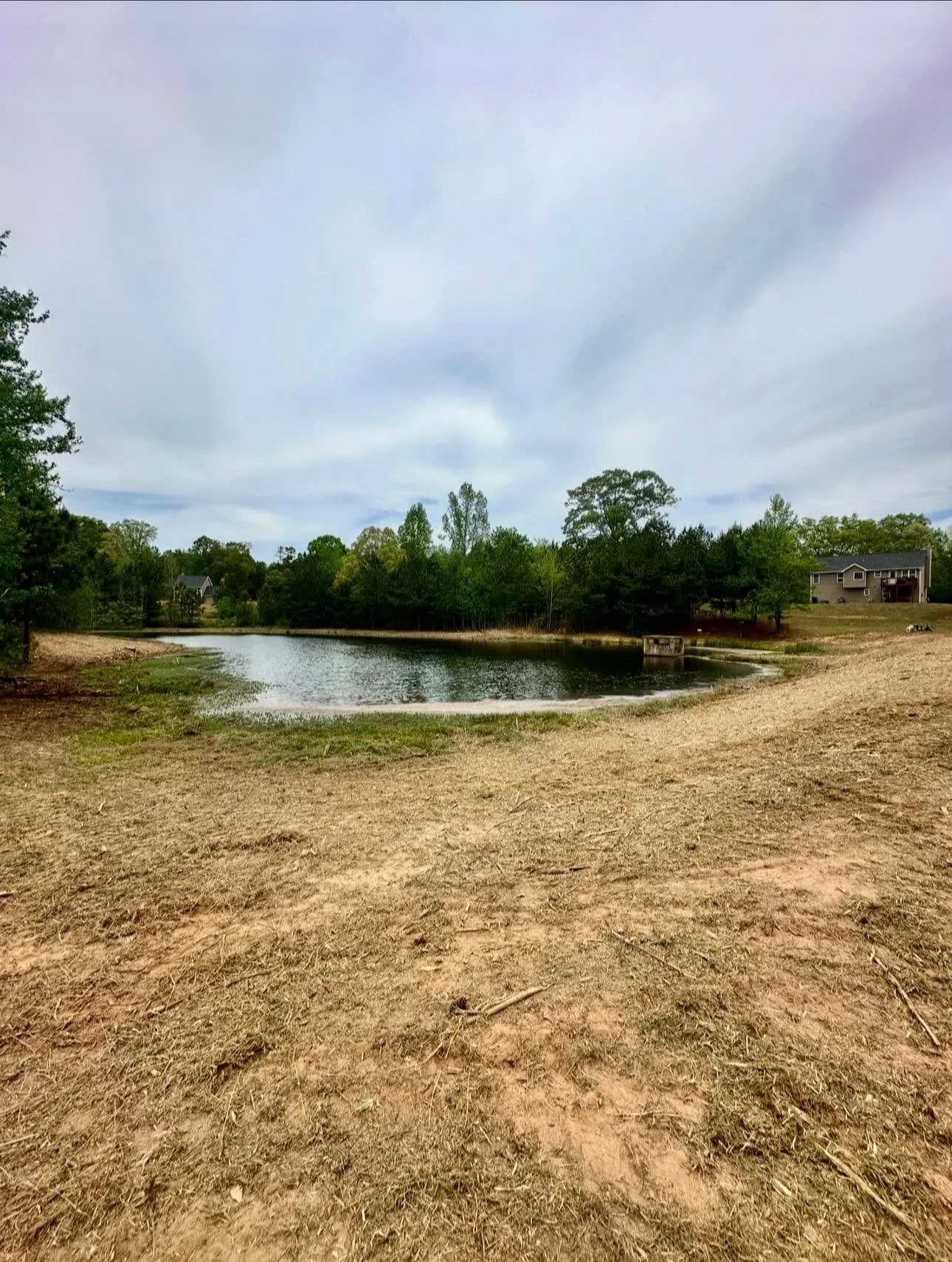 pond after 2.jpg