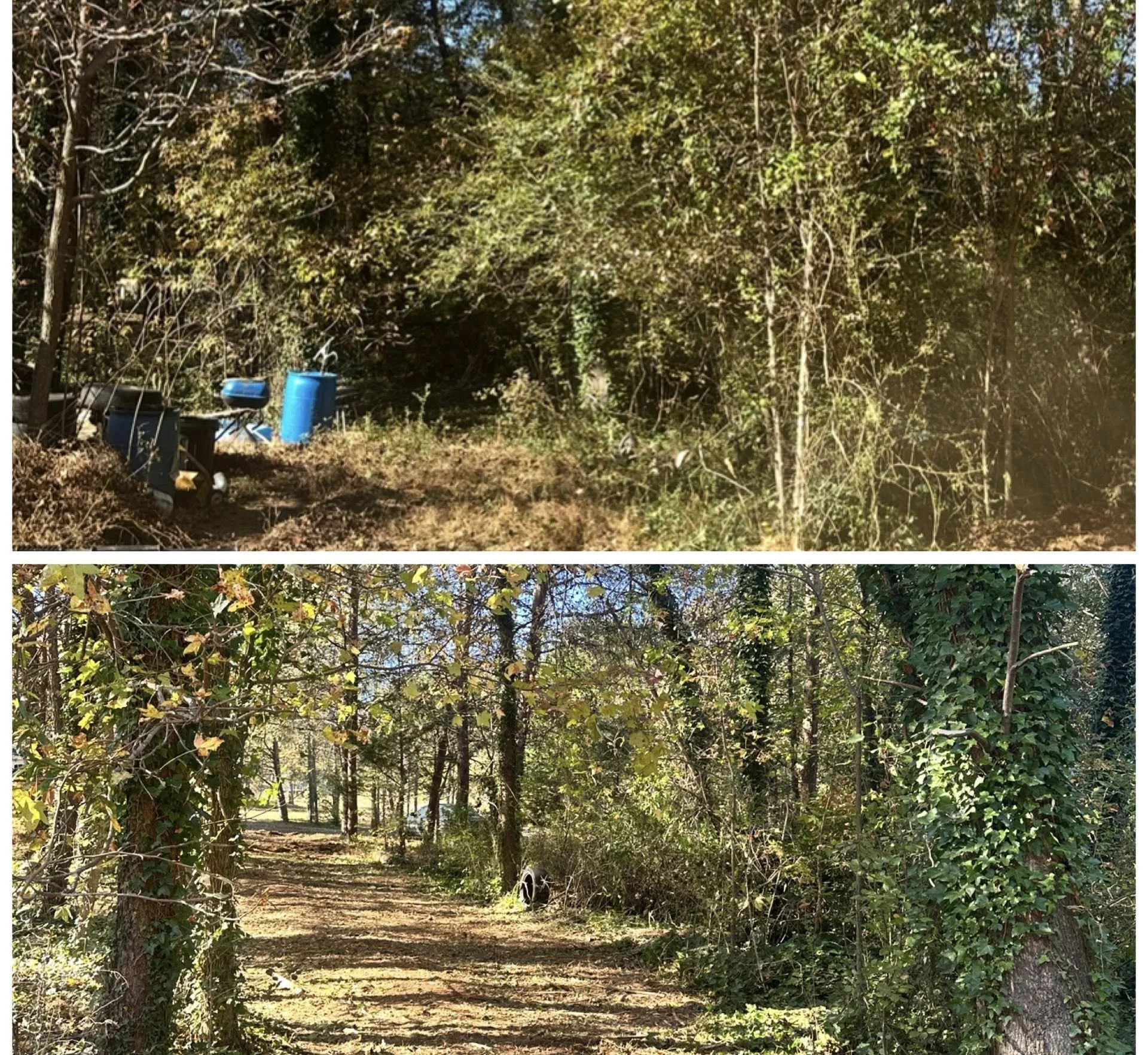 papa yard before and after.jpg