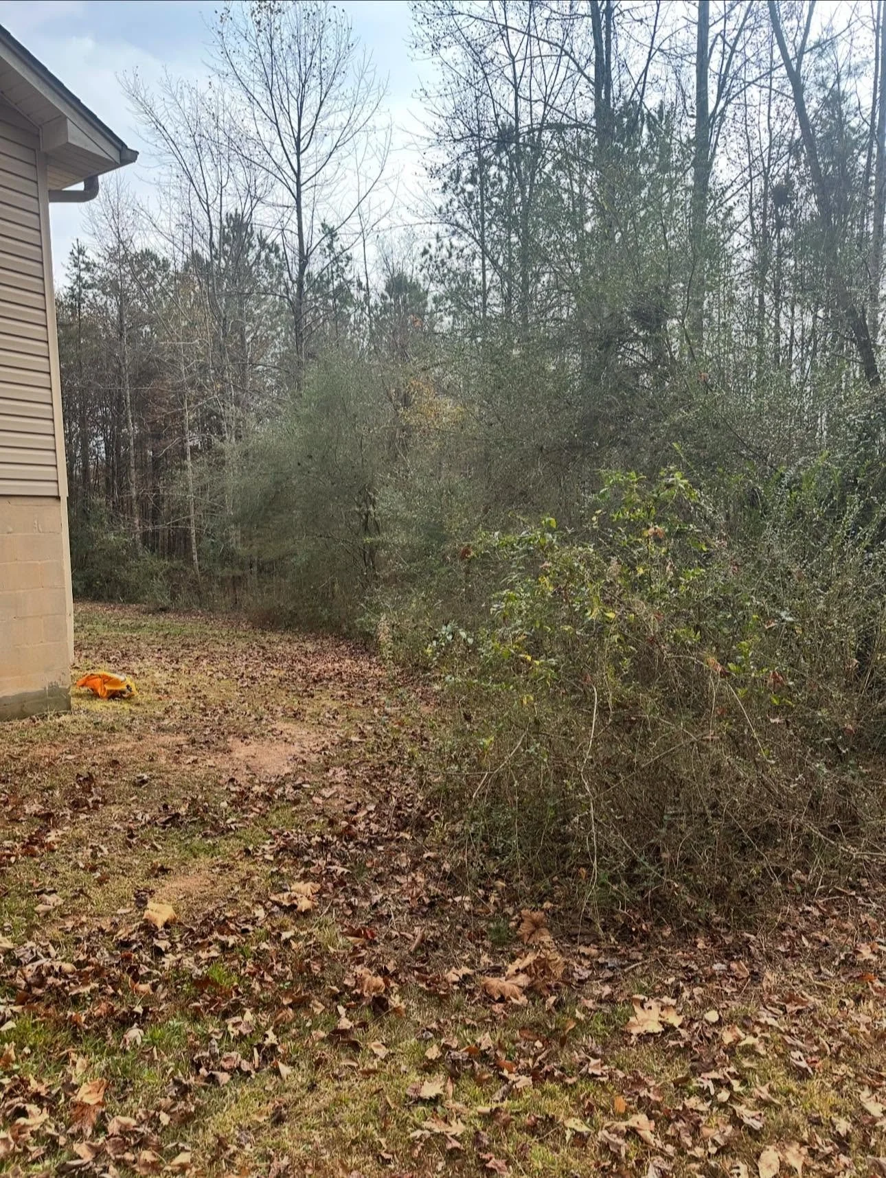 old house before.jpg