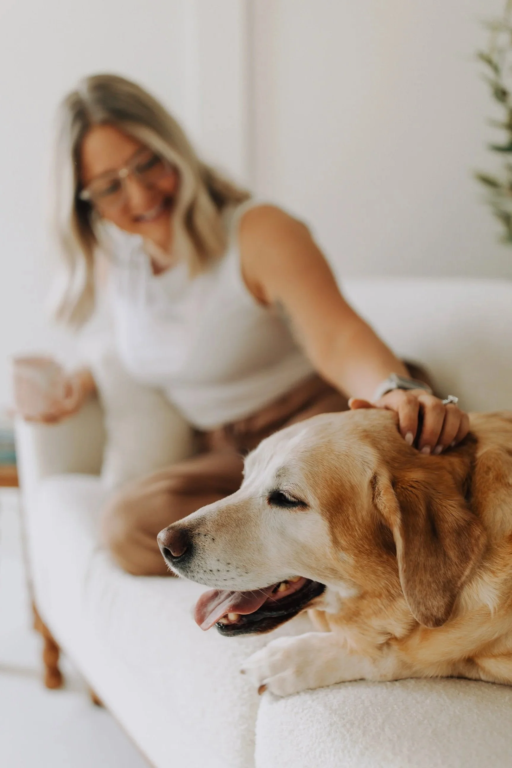 delaware, virginia therapist on couch with dog