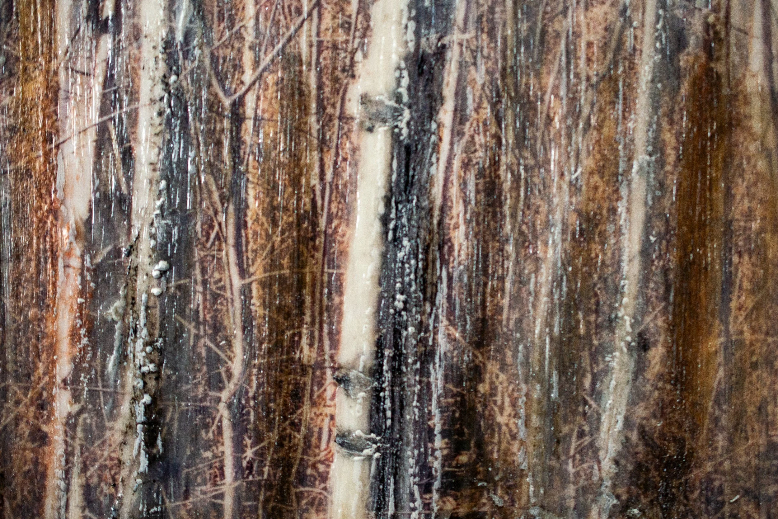 Lady Birch-16.jpg