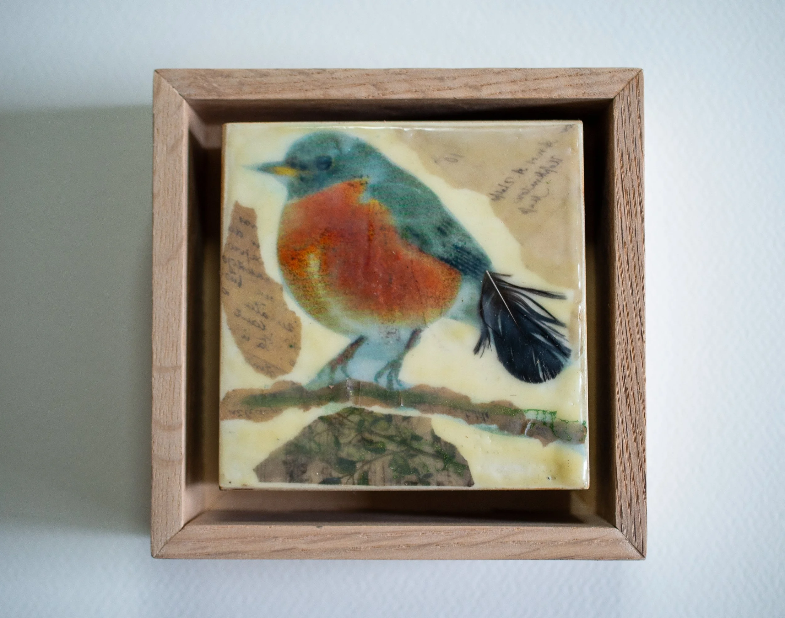 Robin Collage