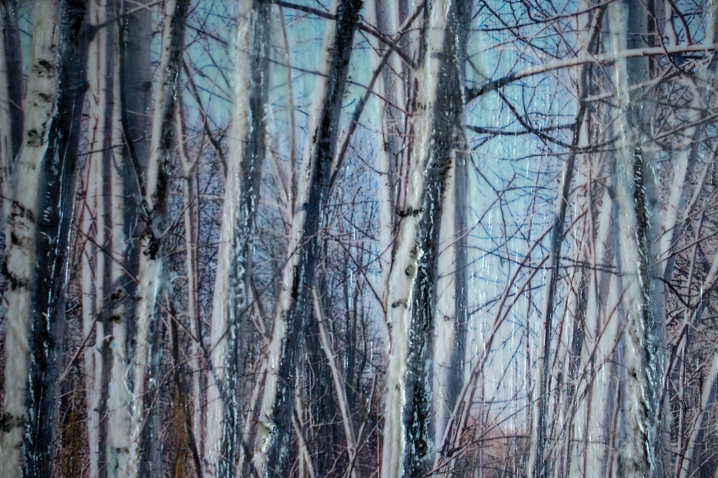 Lady Birch-14.jpg