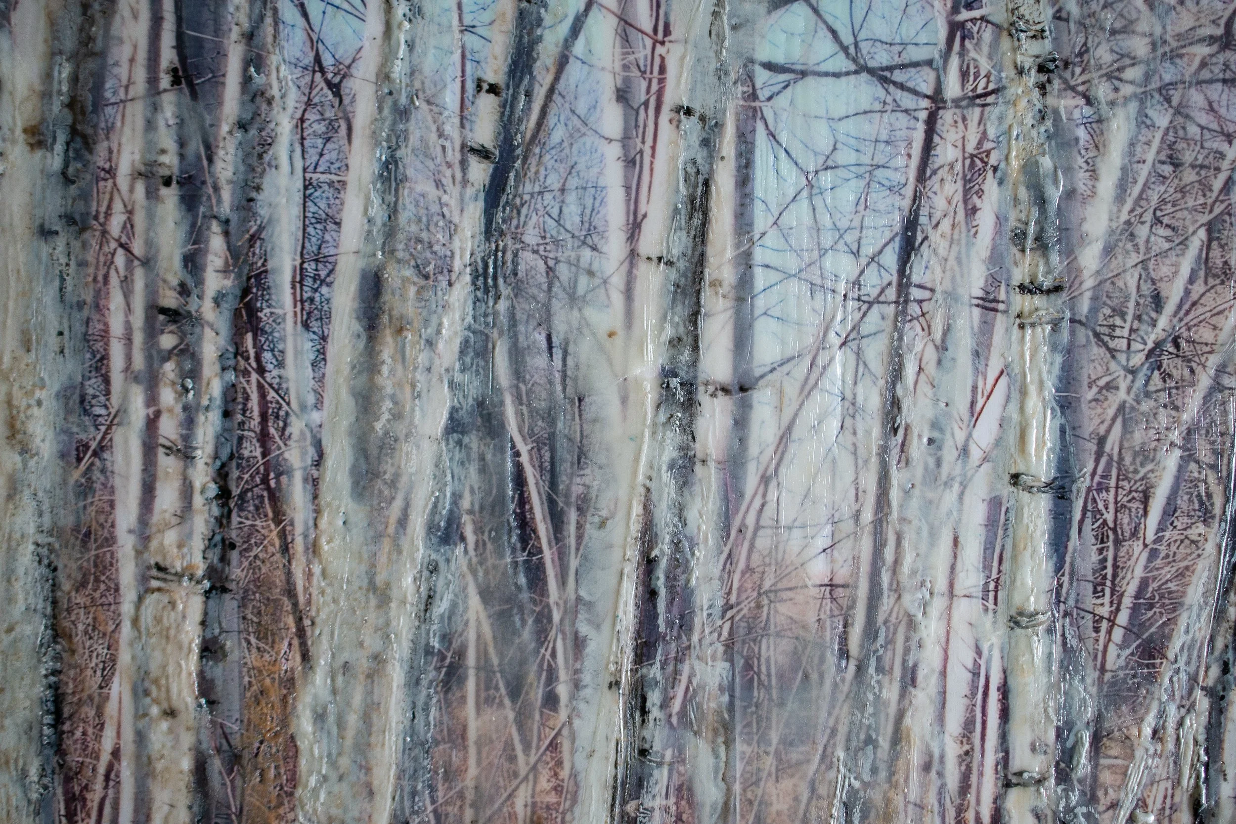 Lady Birch 1-4.jpg