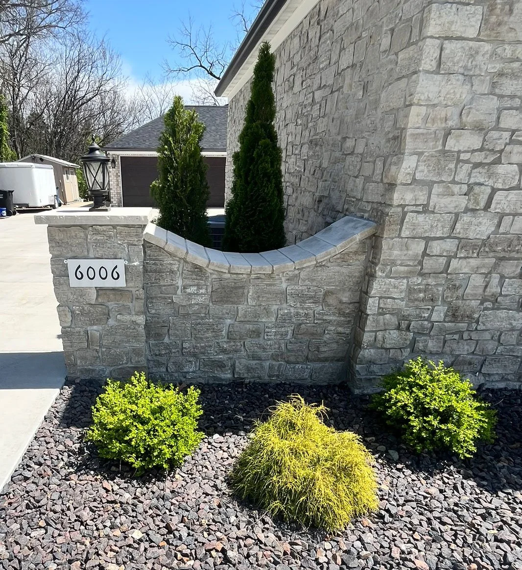 Stone house wall with house number 6006, three tall evergreen shrubs, and three small yellow-green bushes in a gravel bed.