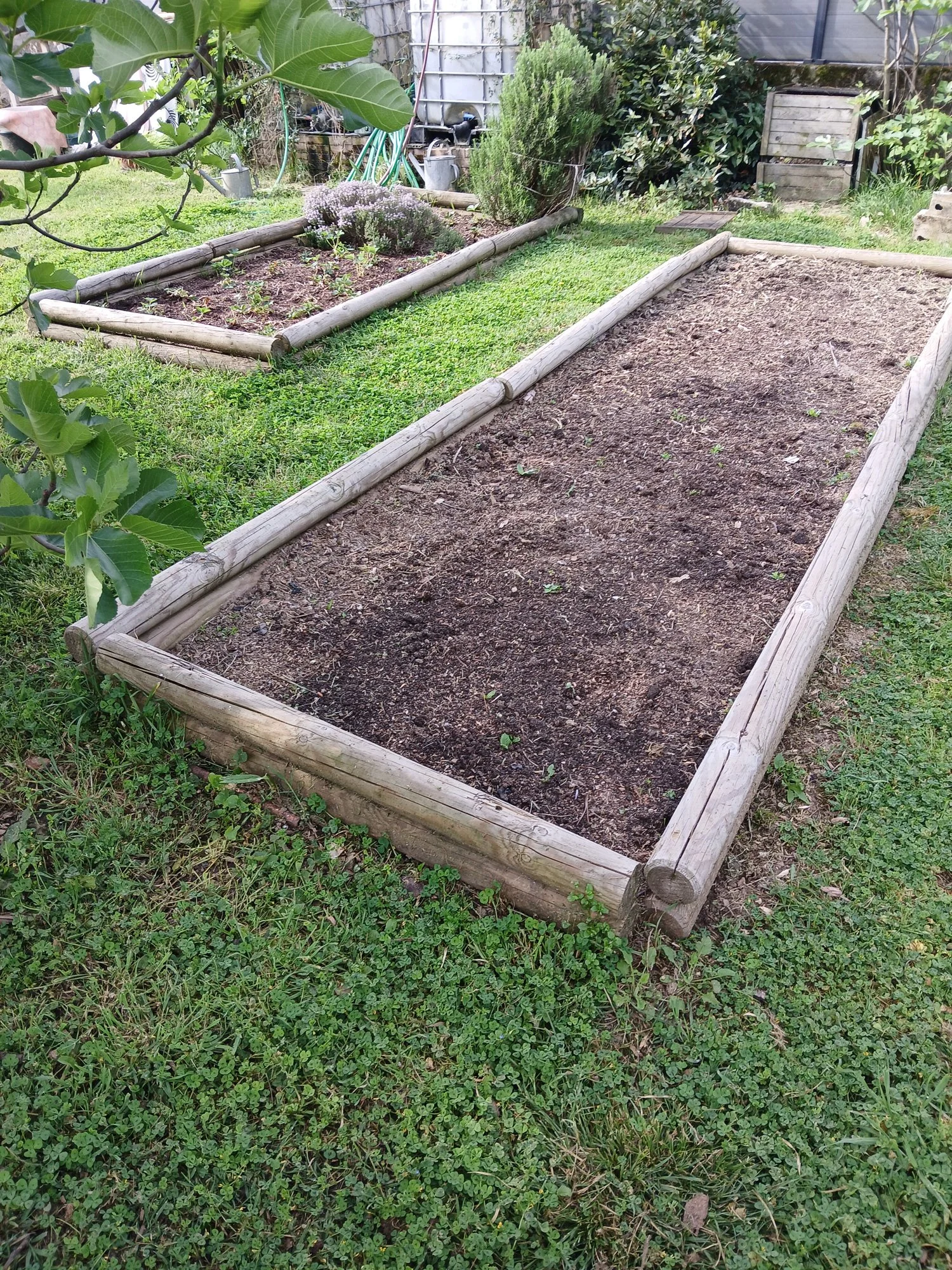 Jardinière en bois avec sol sombre, adjacent à une autre jardinière avec des jeunes plantes, dans un jardin verdoyant avec herbe et arbres.