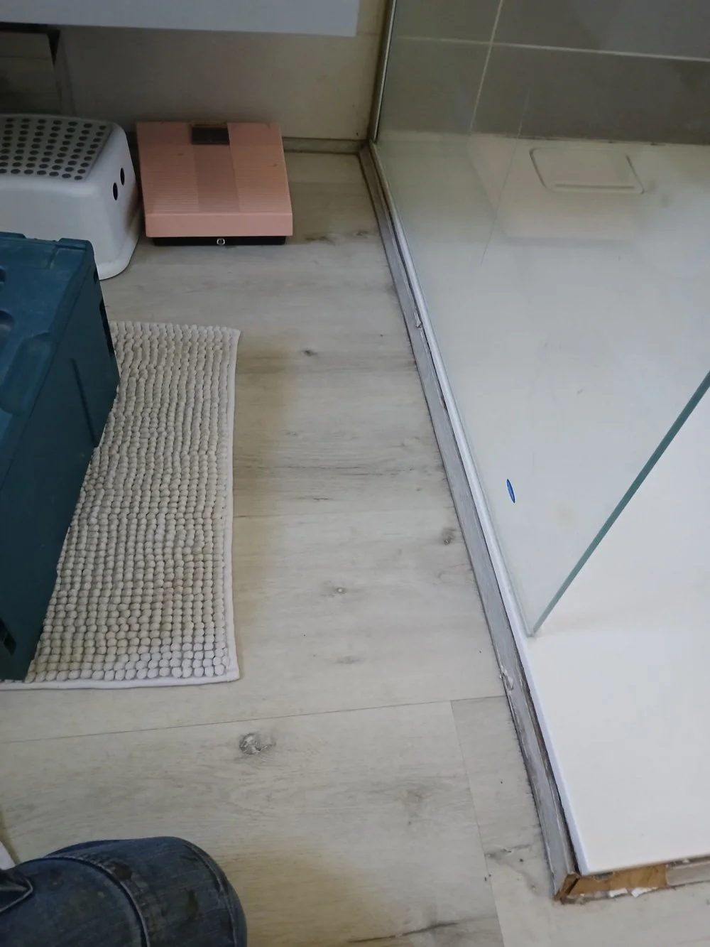 Sol en bois clair avec tapis beige, objets de rangement en plastique, et une cabine de douche en verre.