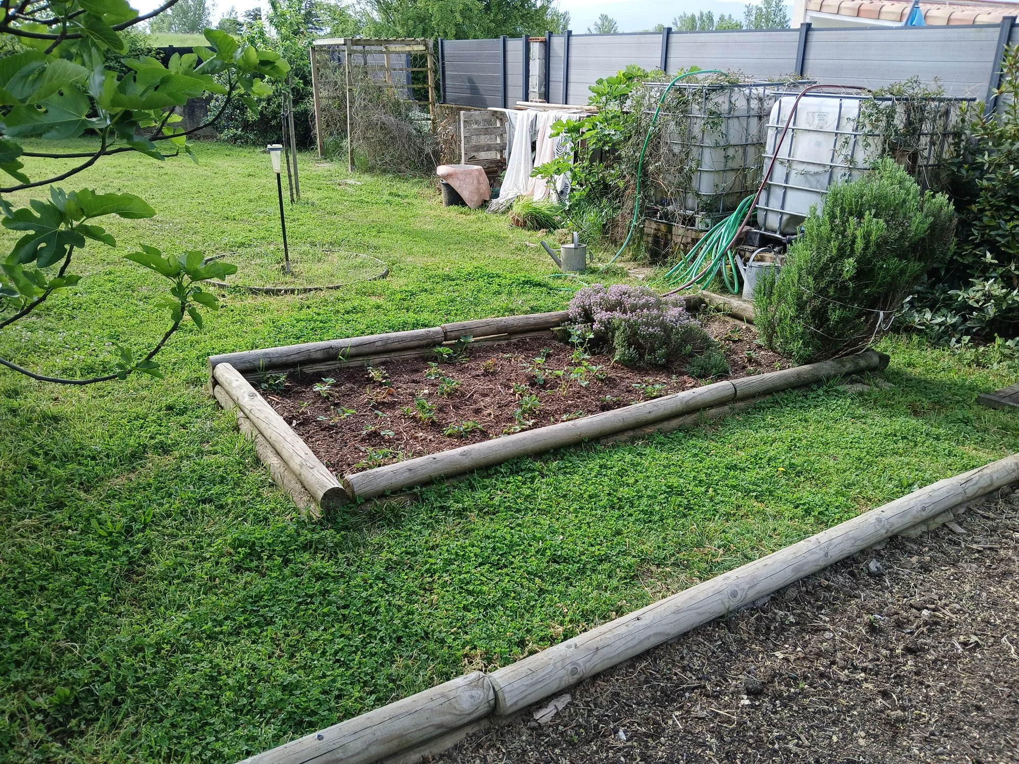 Jardin avec carré de terre, arbustes et clôture en bois et métal