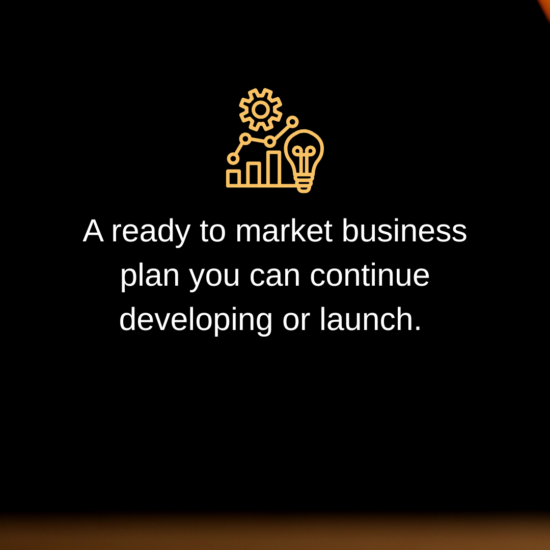 Ready to Launch Business Plan 