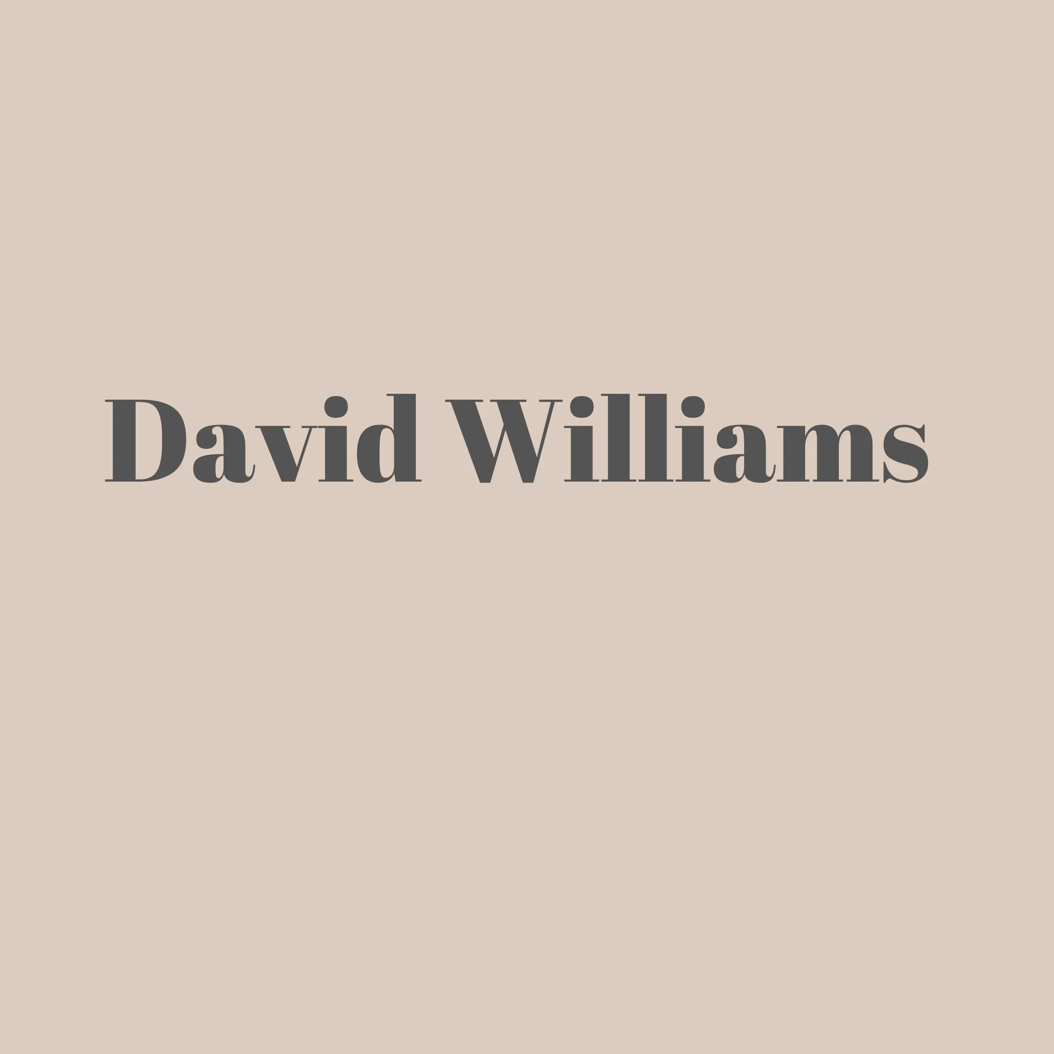 David Williams-Vice President 