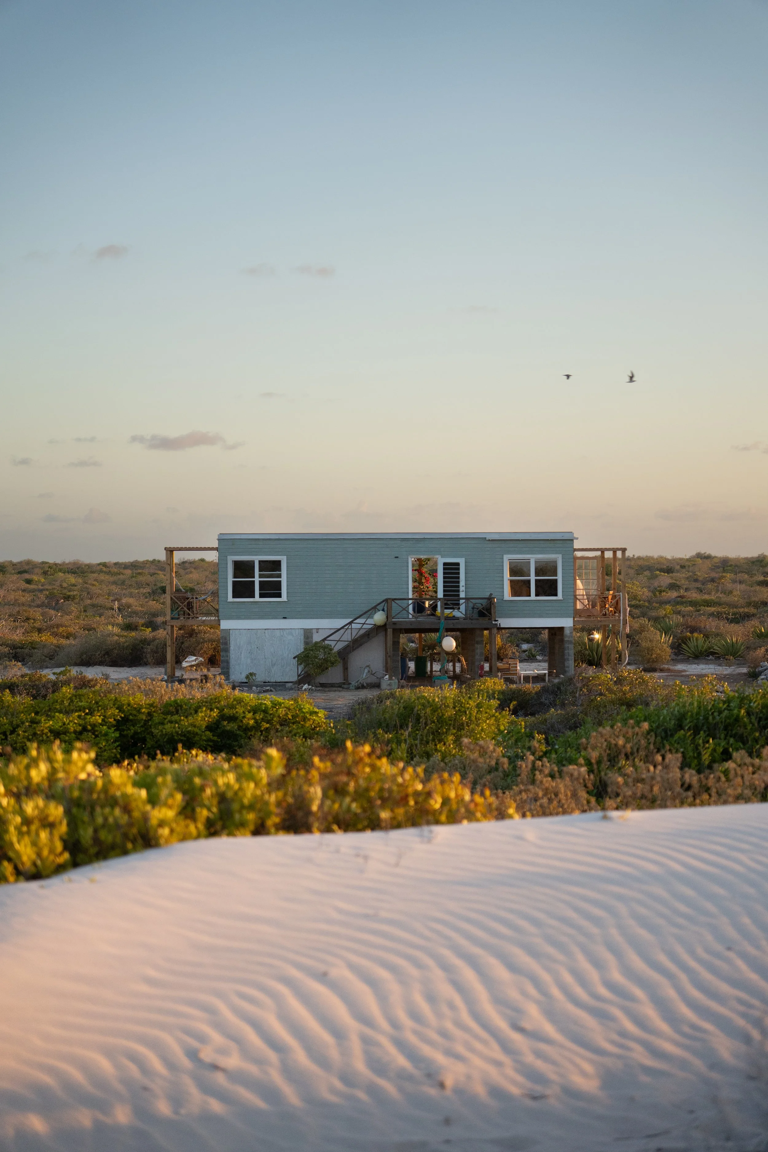 A blue eco-lodge on stilts in a sandy Caribbean beach landscape with green plants in the foreground, and a clear sky with a few clouds and two birds flying in the background.