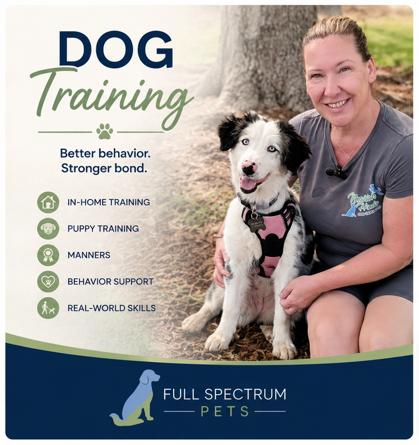Dog Training oviedo Fl
