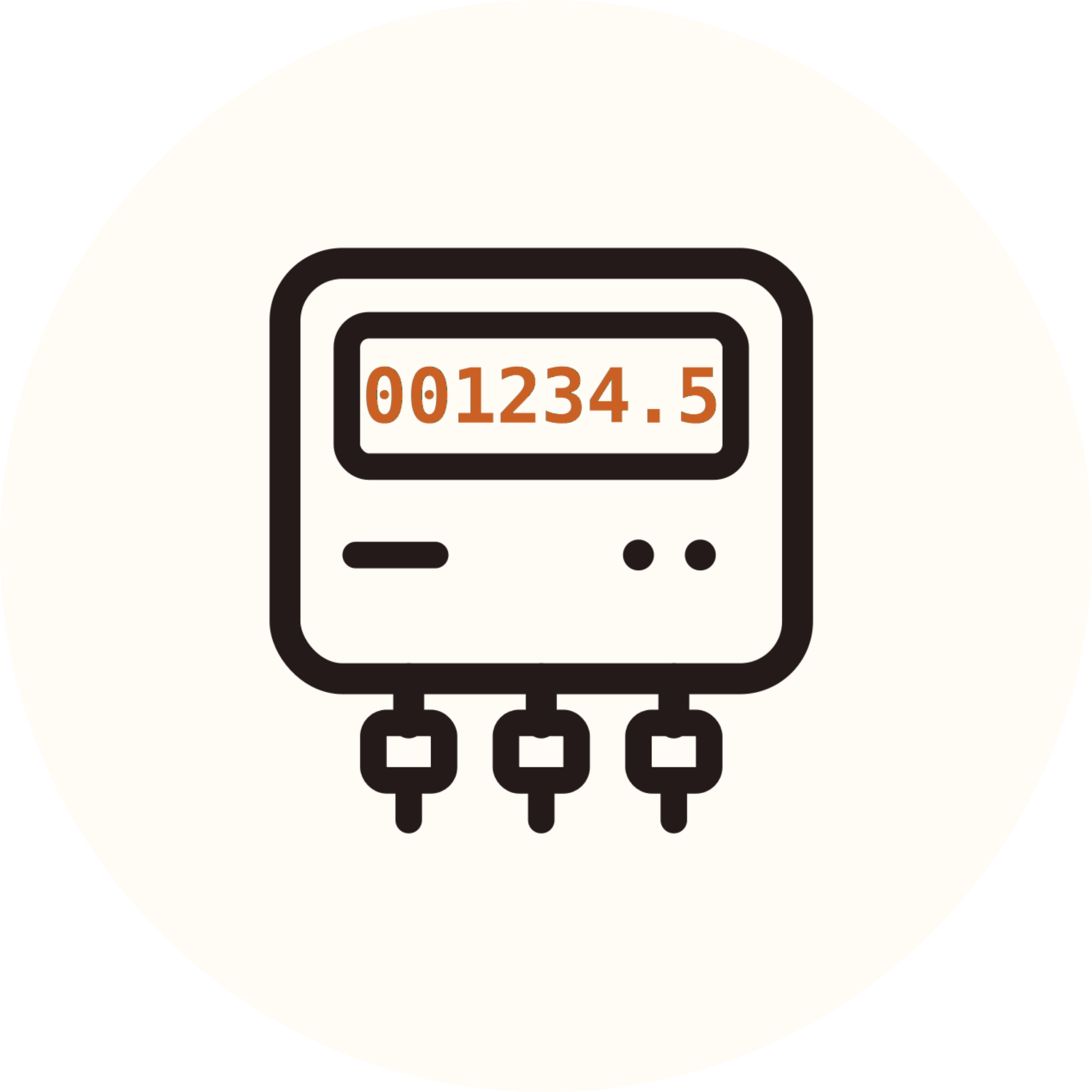 Revenue Meter Data Management