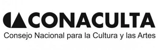 Consejo Nacional para la Cultura y las Artes  (Copy)
