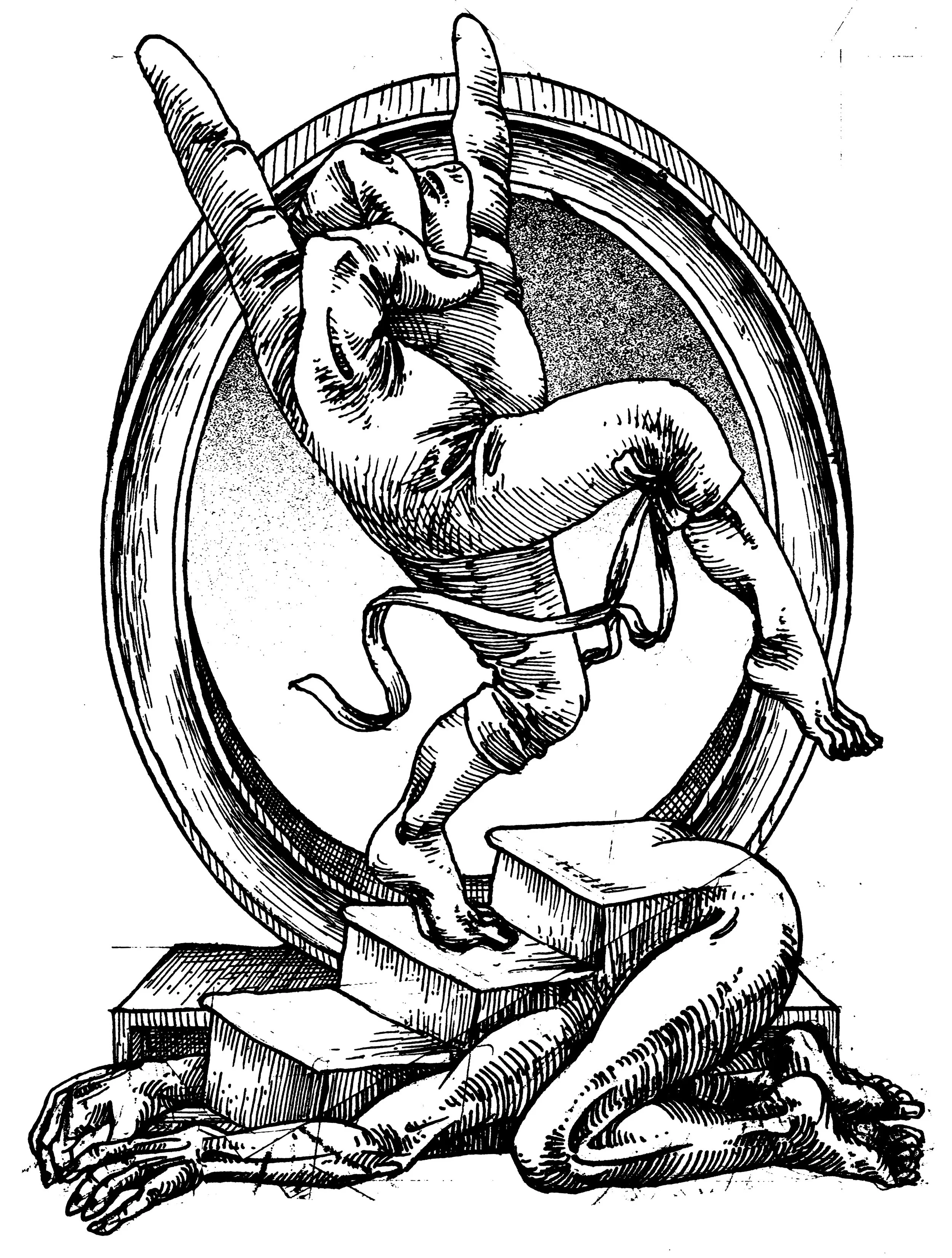 CARTOUCHE 12.jpg