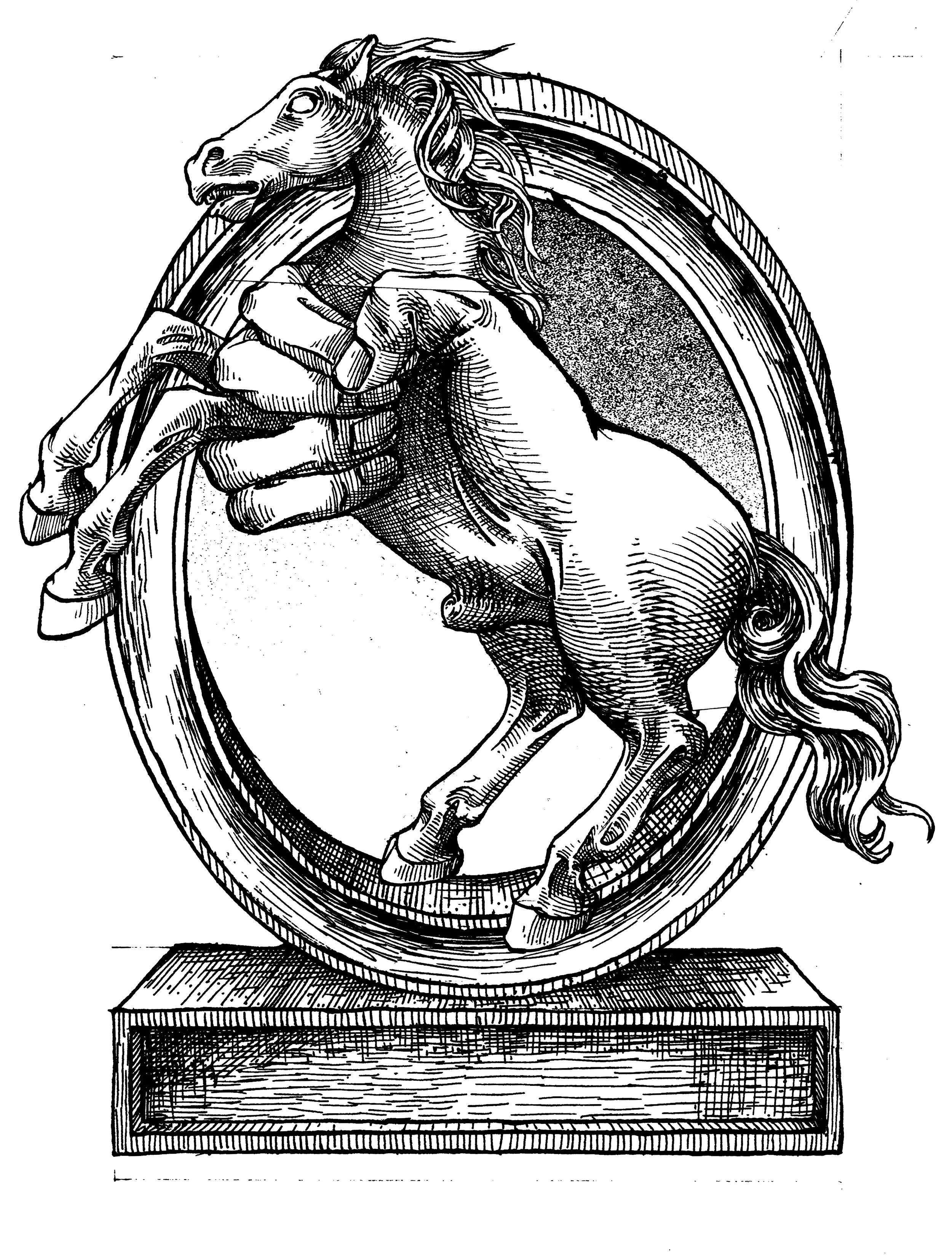 CARTOUCHE 24.jpg