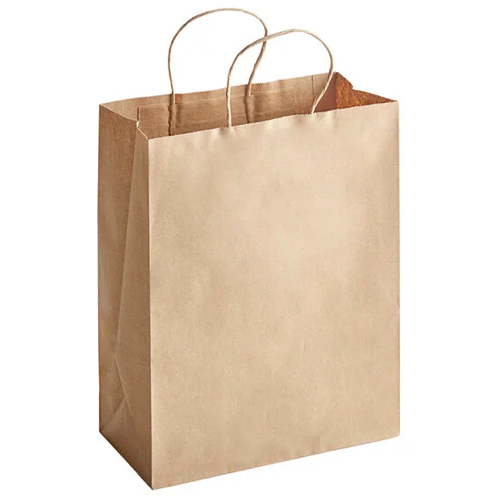 A plain brown paper shopping bag with twisted paper handles.